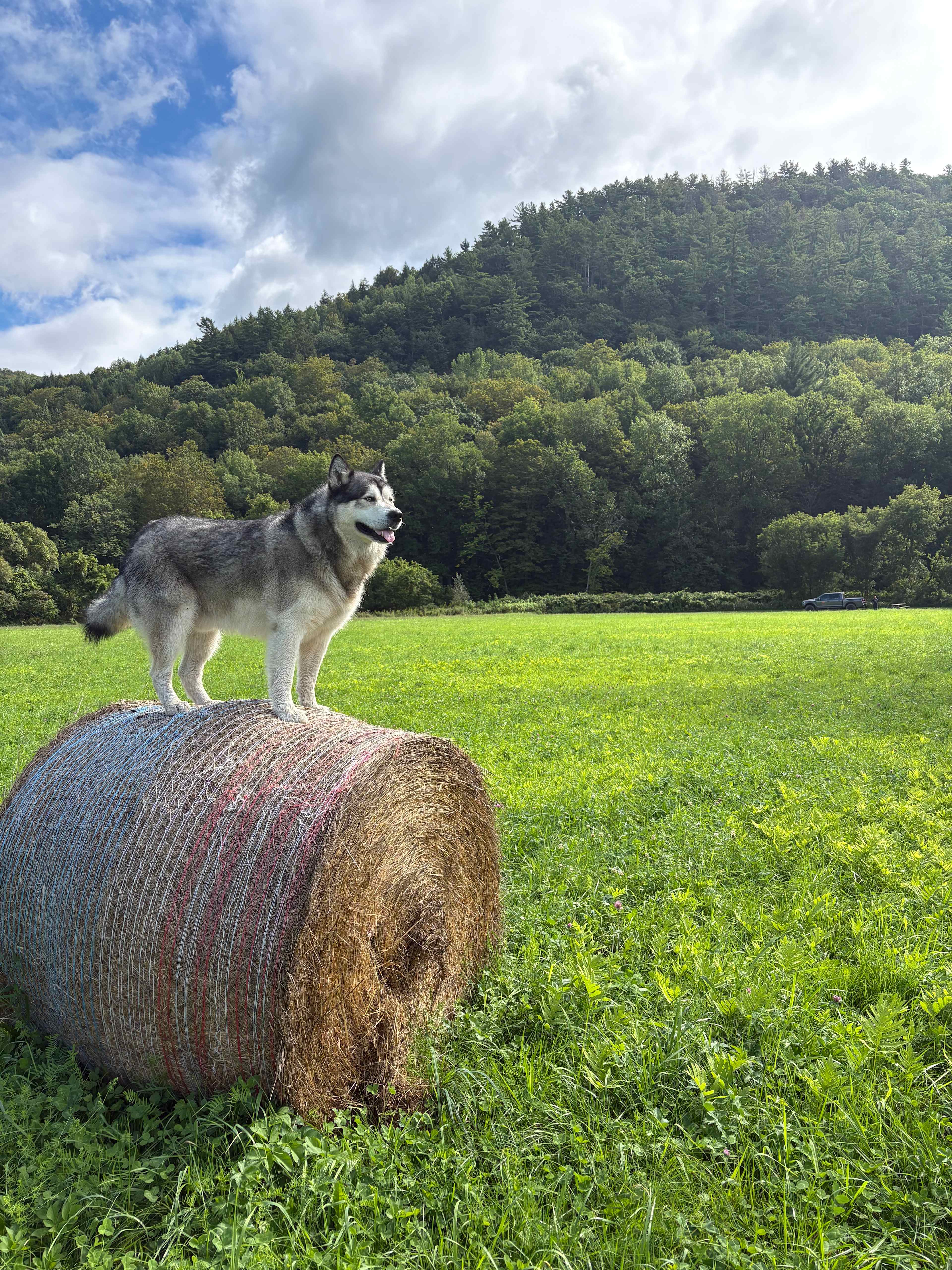 Greenbush Farm