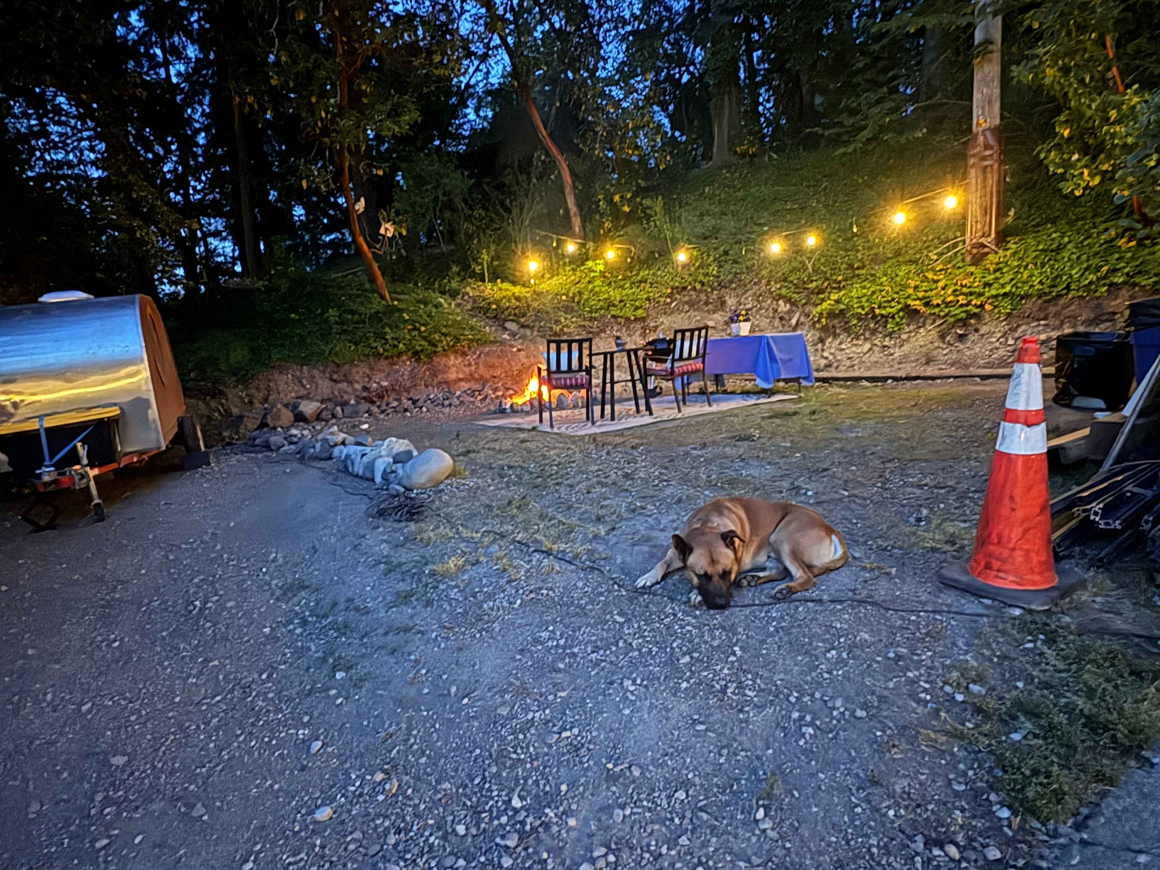 Picture of the site