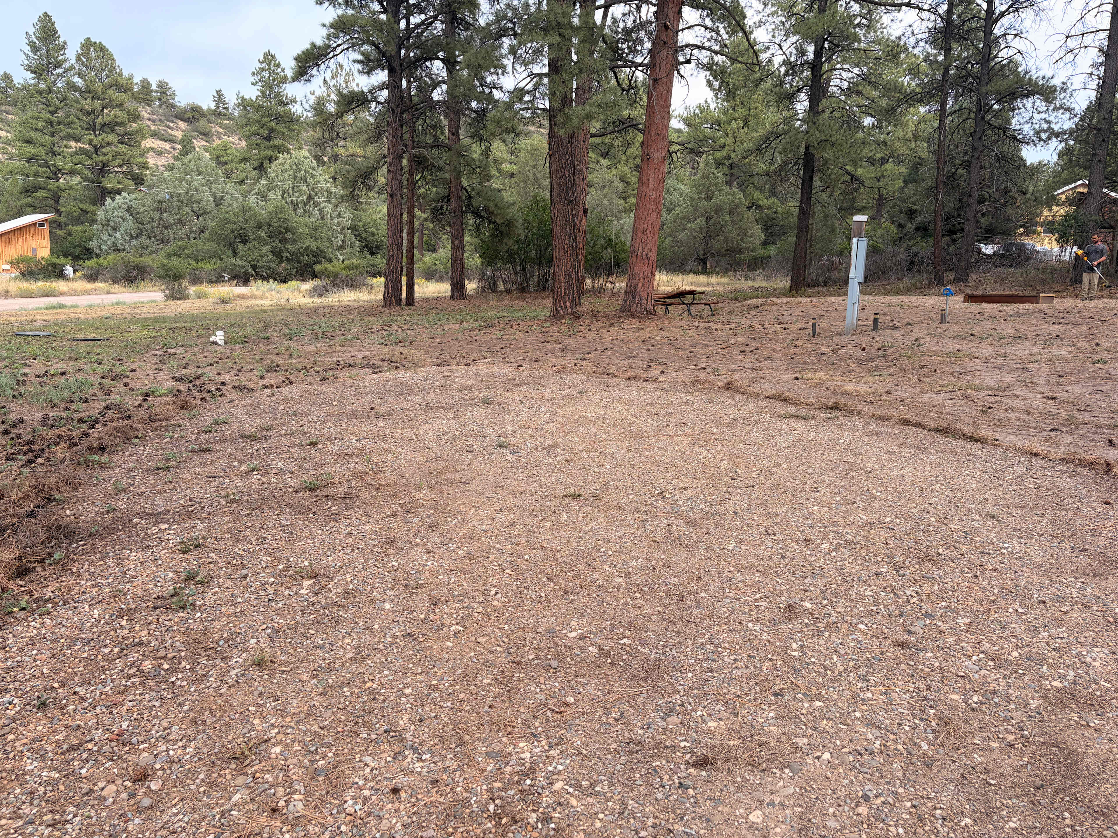 Picture of the site