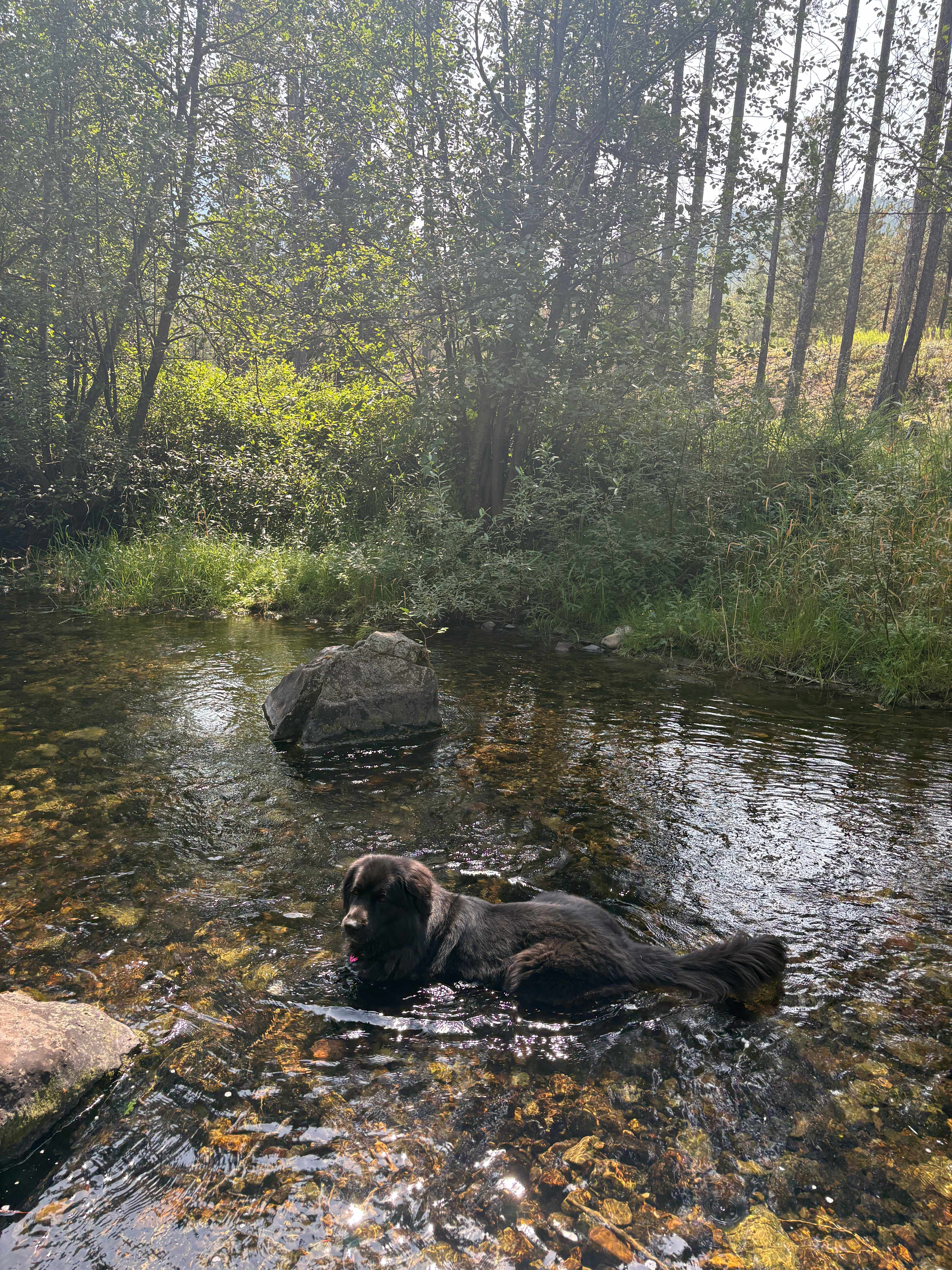 Murphy's Gold Creek Ranch