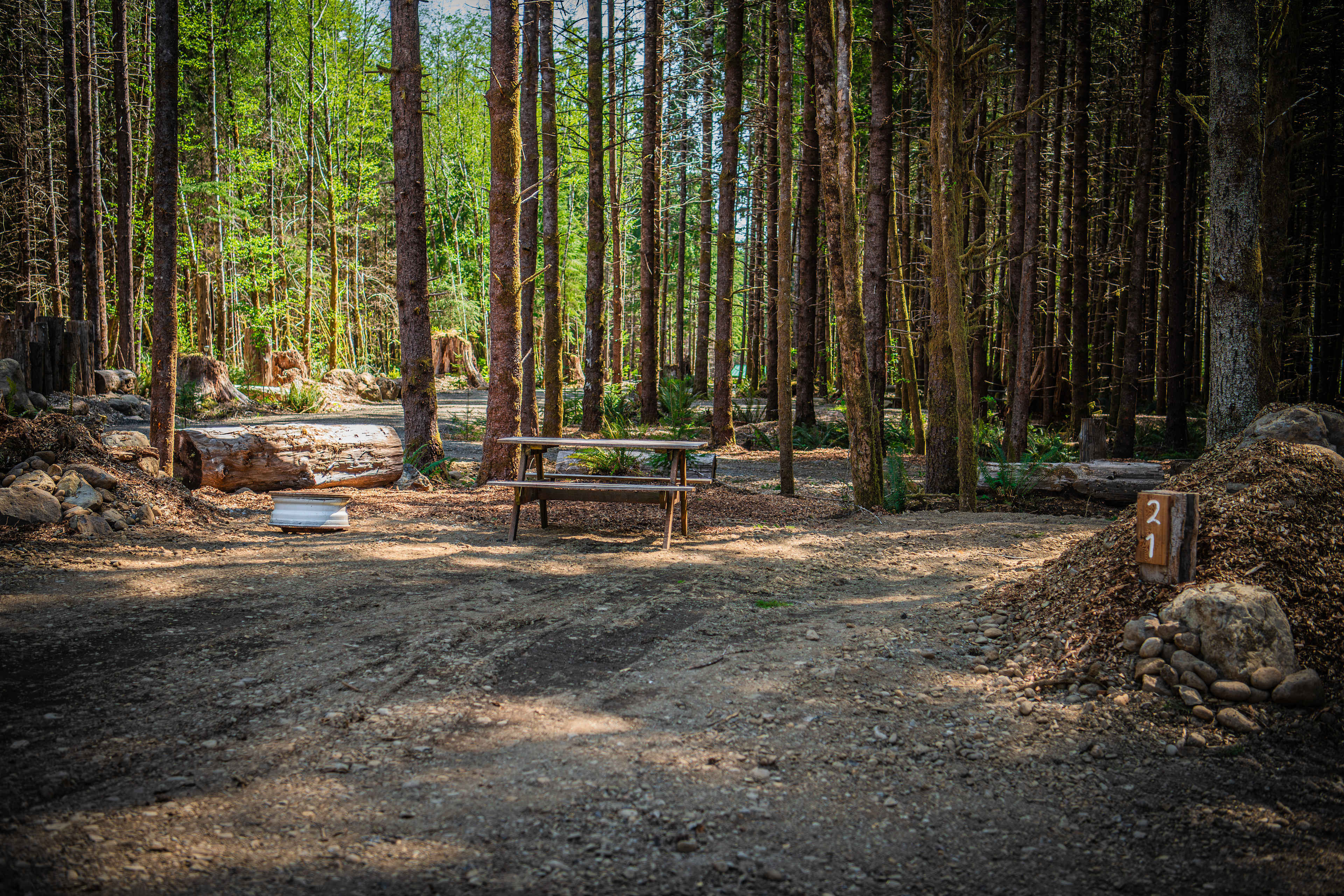 Picture of the site