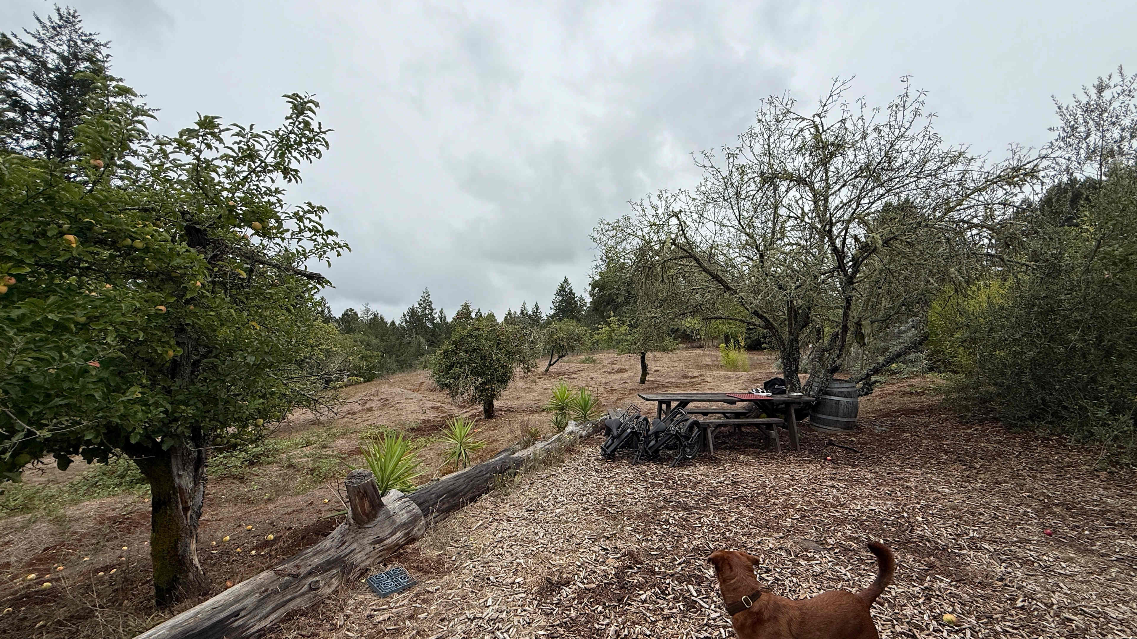 Rancho Laslendini