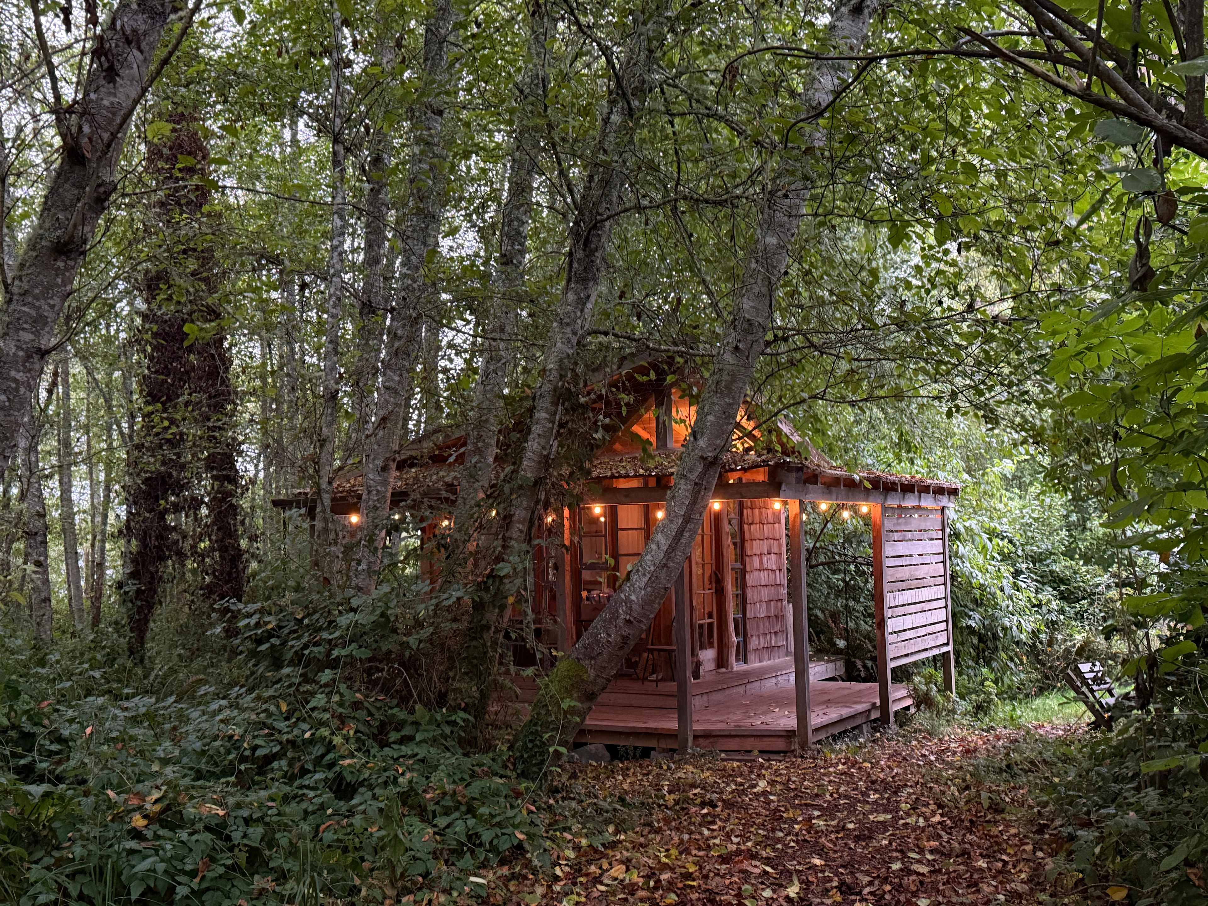 Bayside Cabin