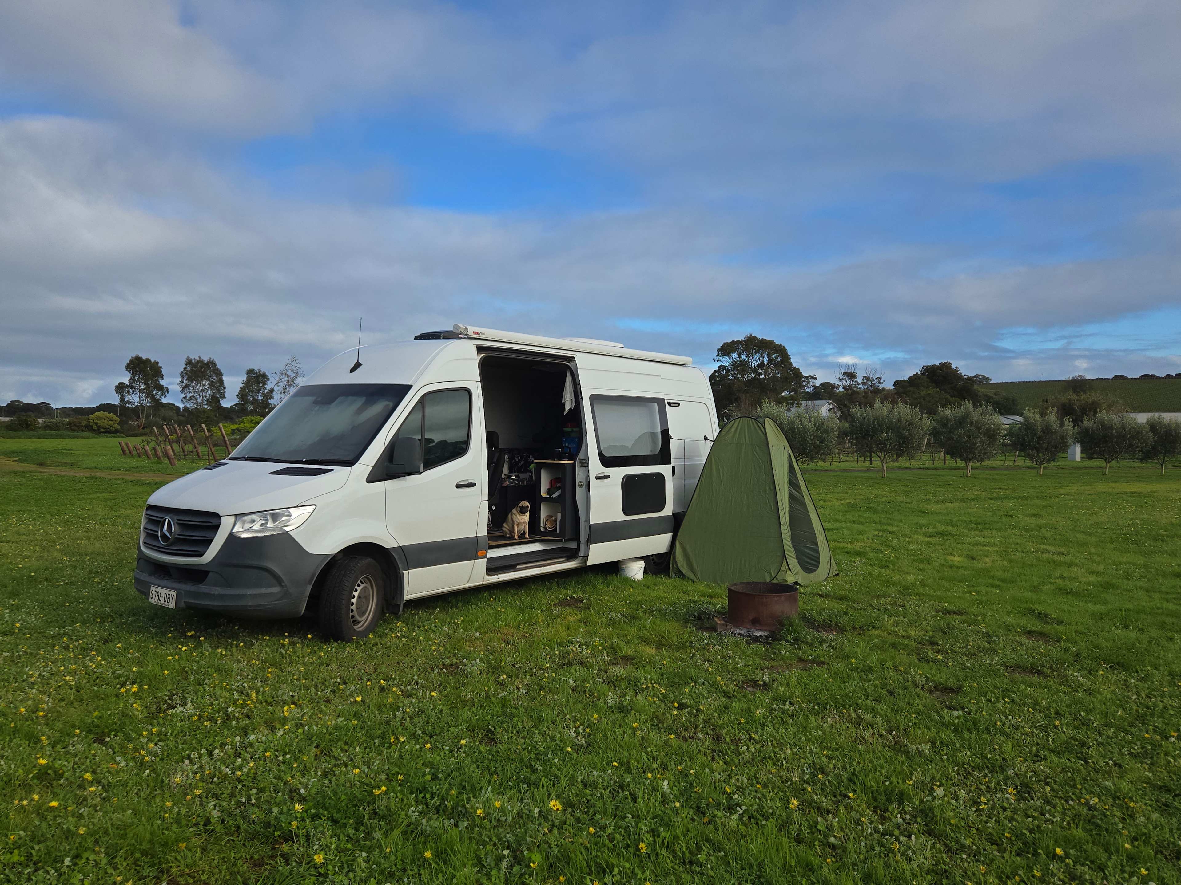 Six Strings - McLaren Vale Vineyard