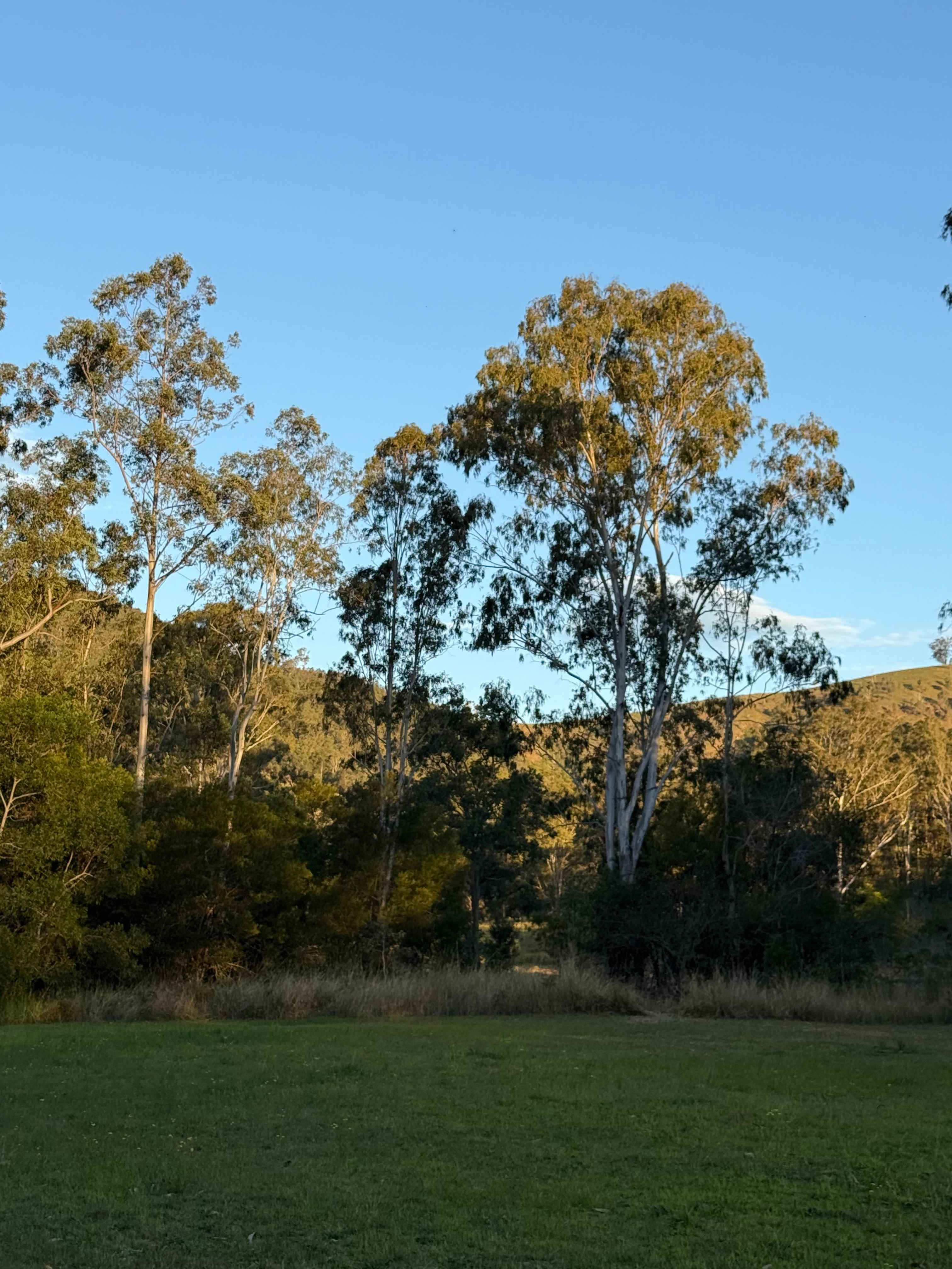 Platypus Creek
