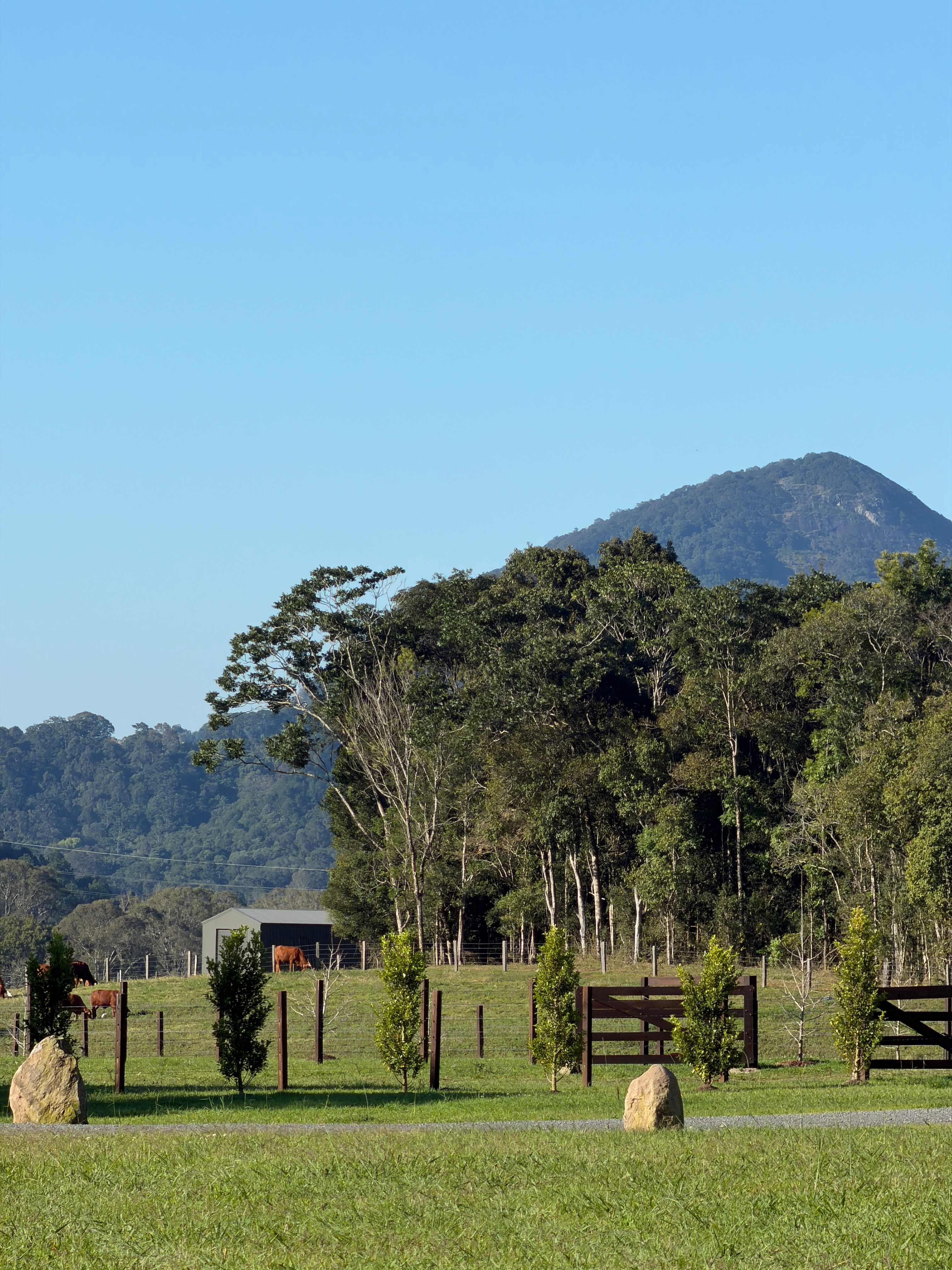 Eerwah Vale Mountain Park Noosa