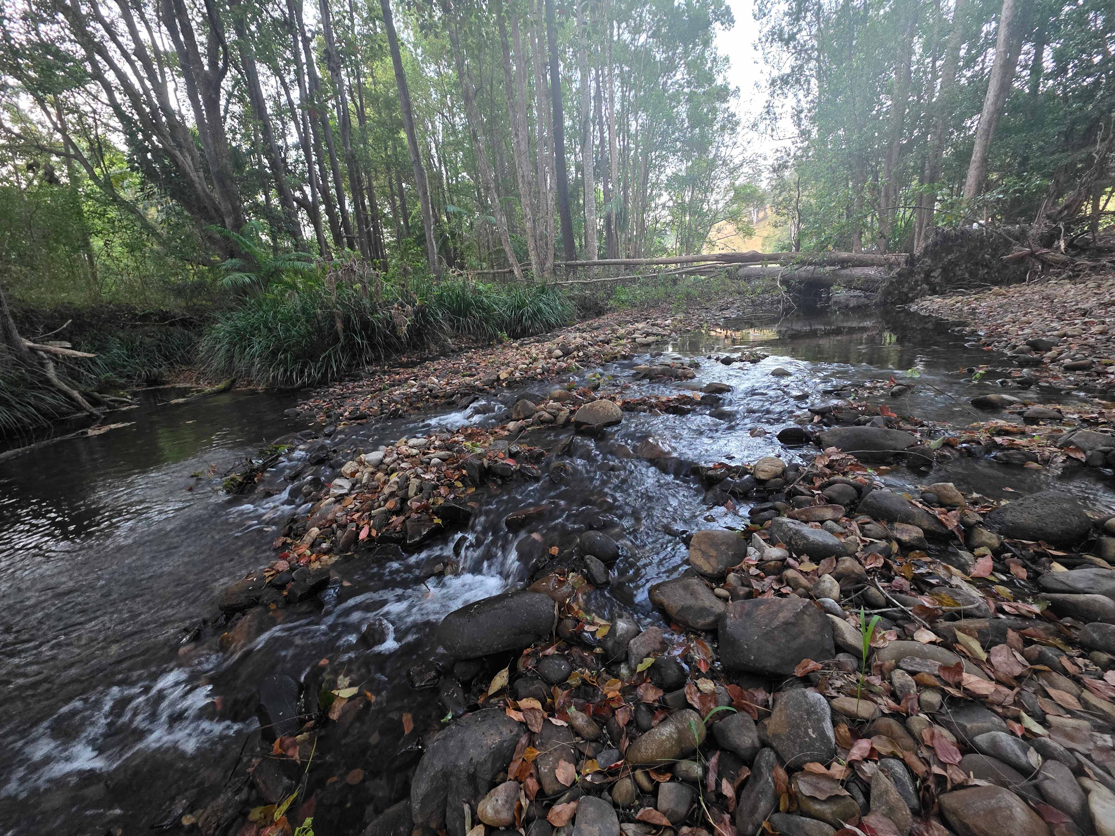 Crystal Creek Springs