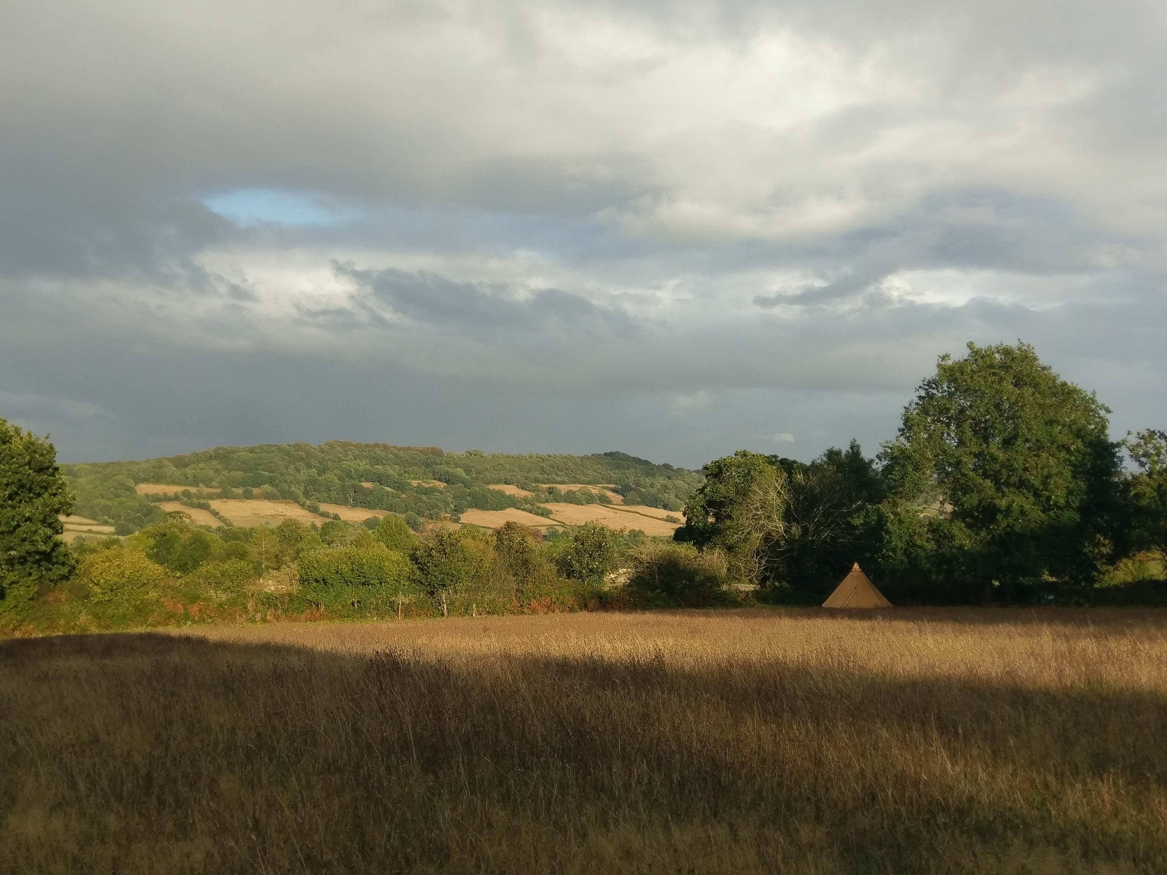 Goren Farm