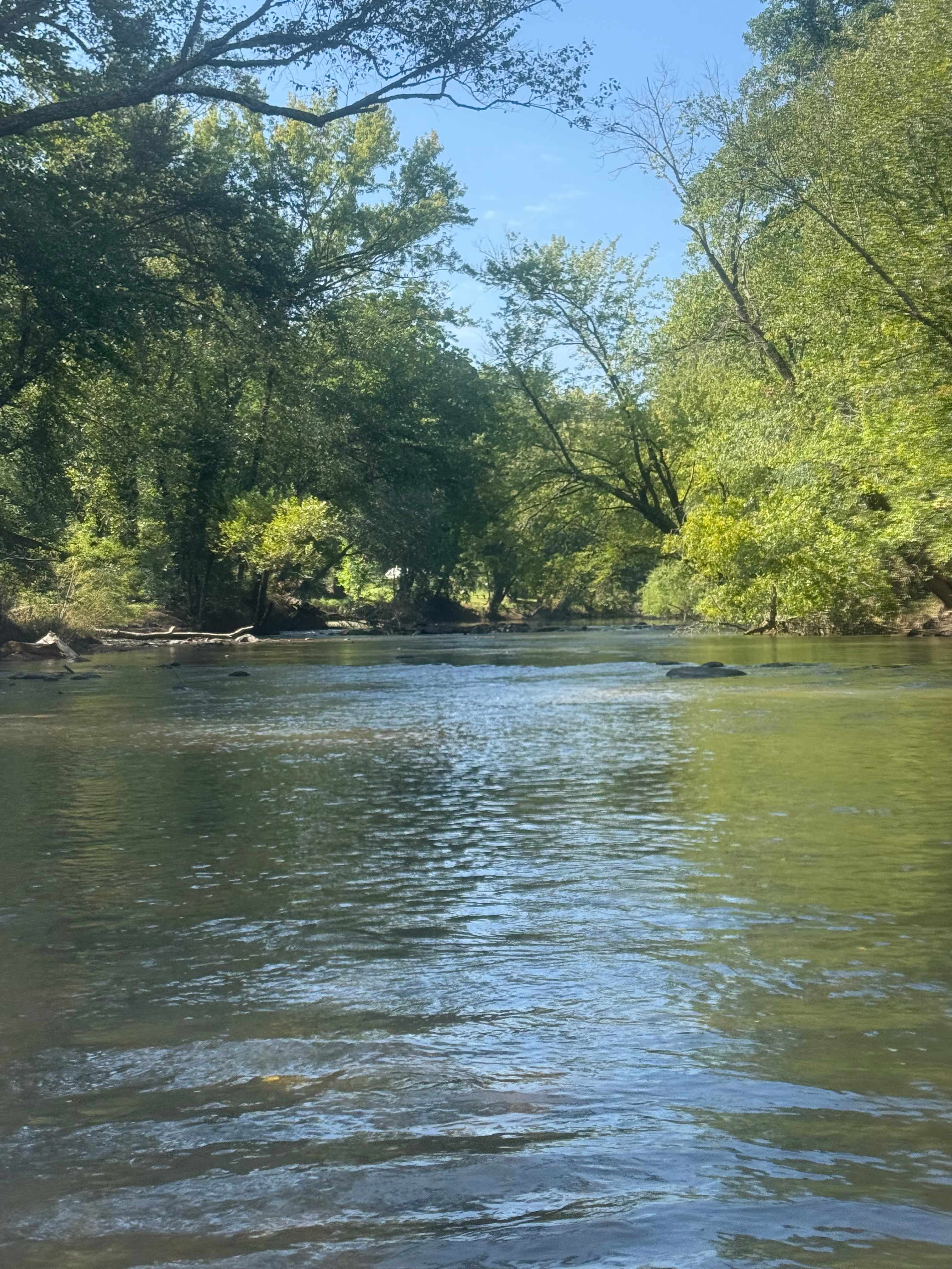 Paddle boarding up river 