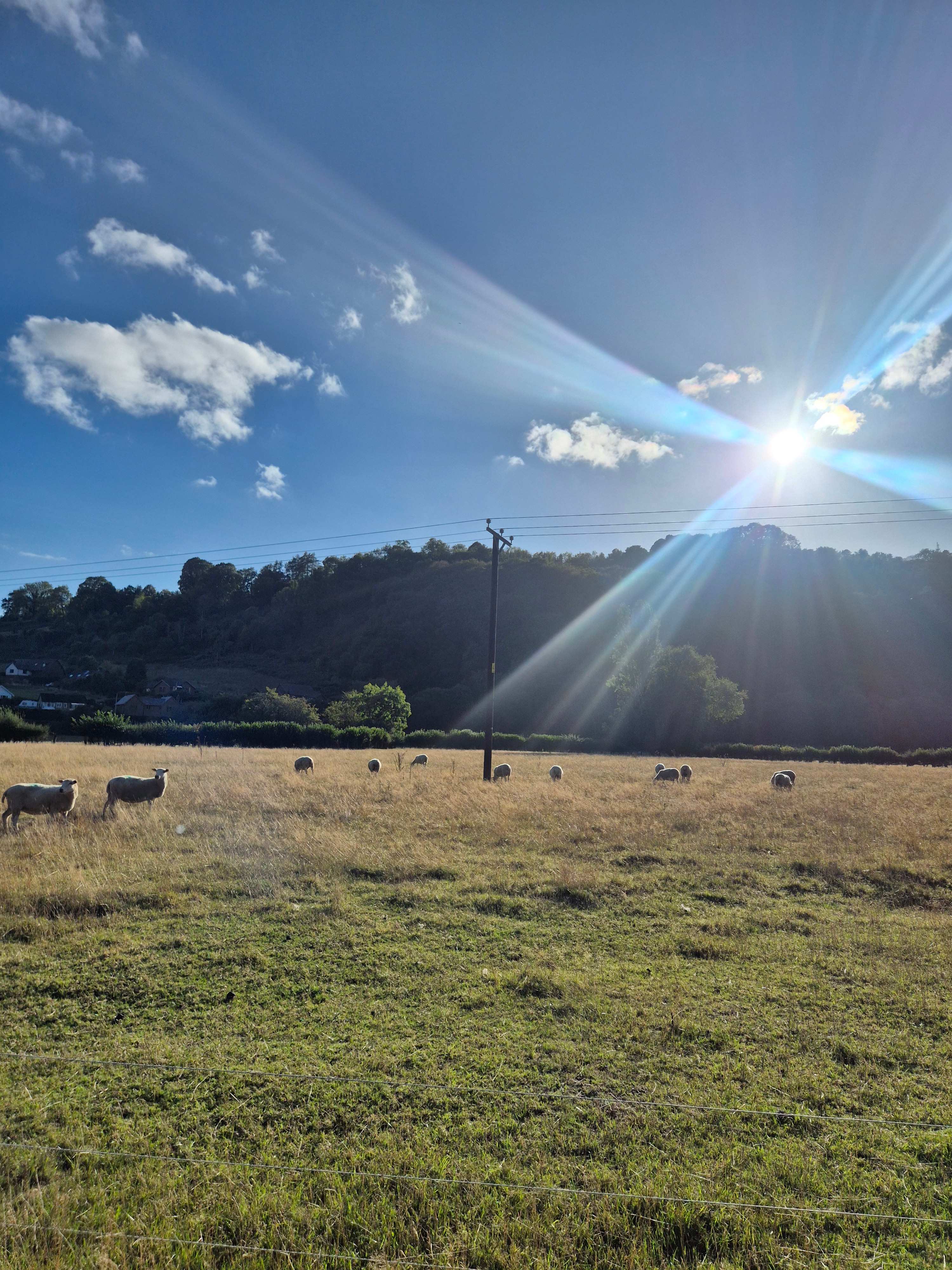 Panpwnton Campsite