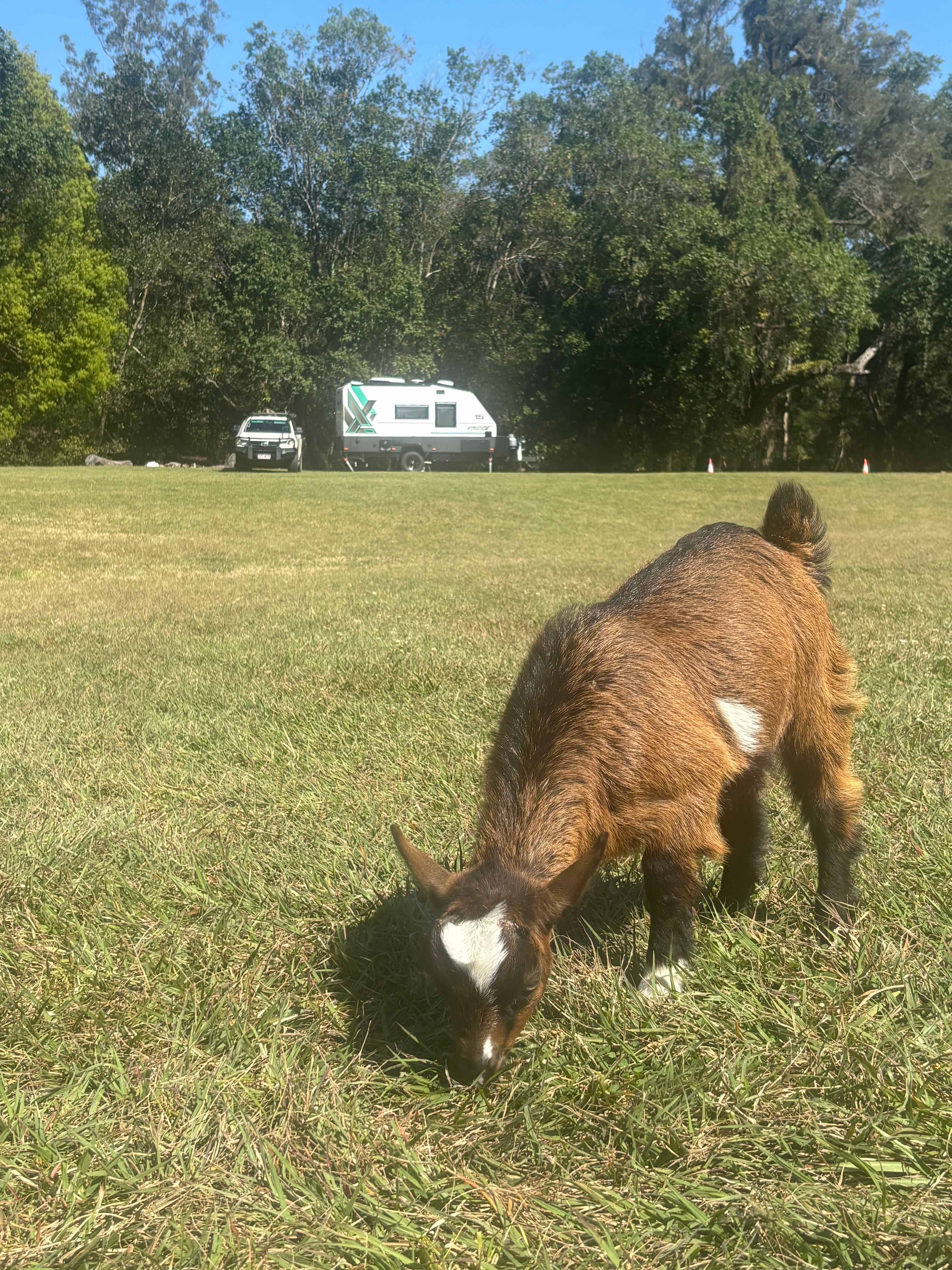 Amamoor Creek Camping Retreat