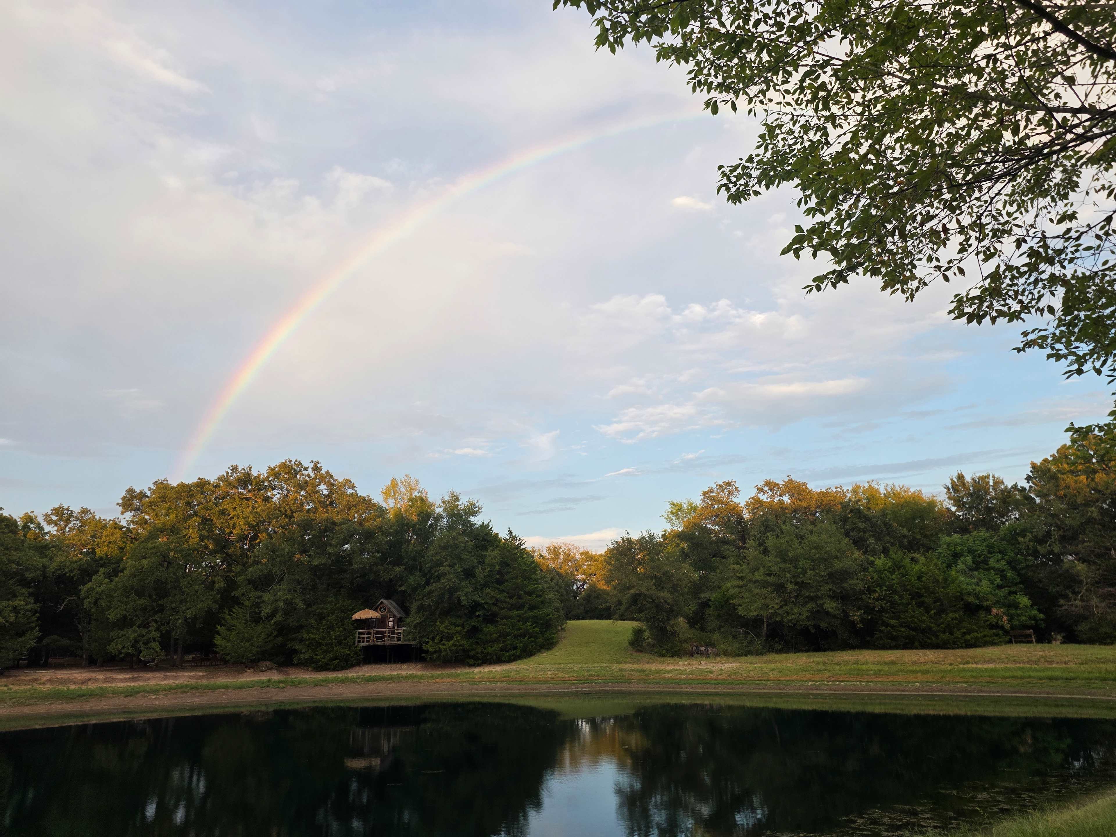 Texas Safari Camp