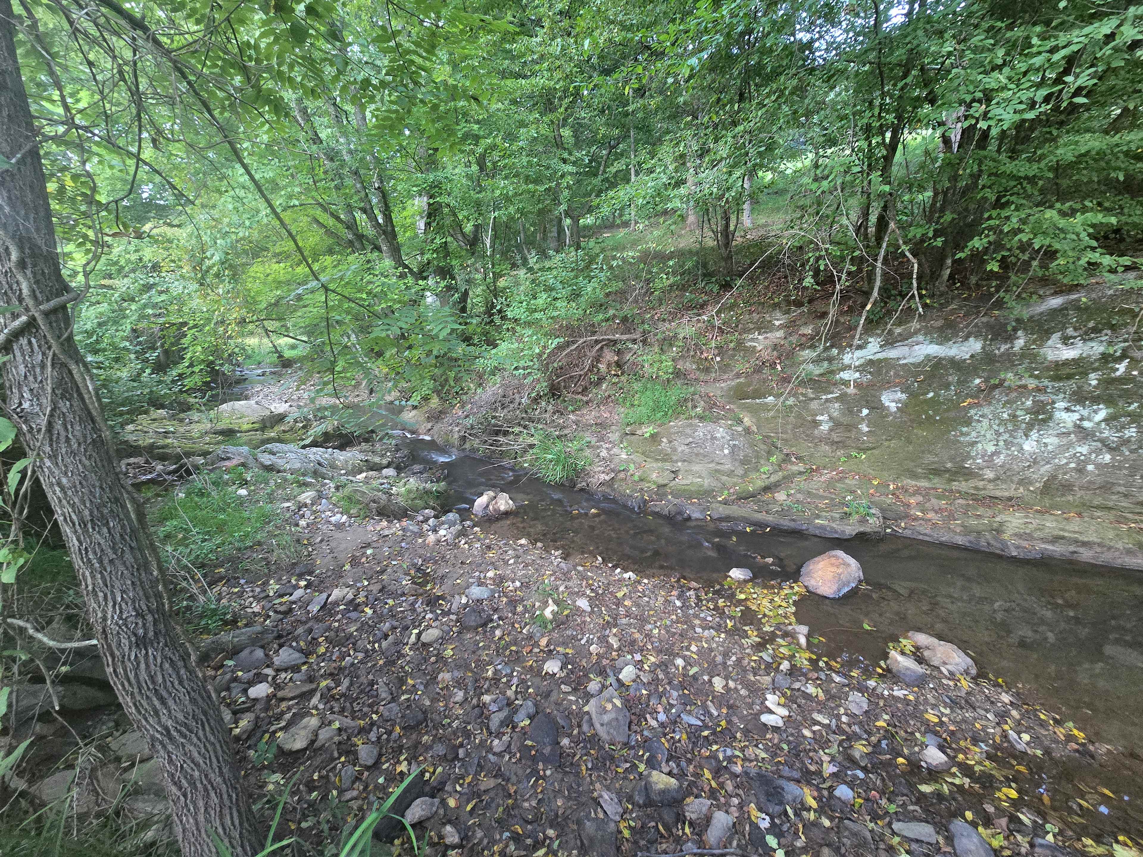 Turkey Creek Oasis~valley views