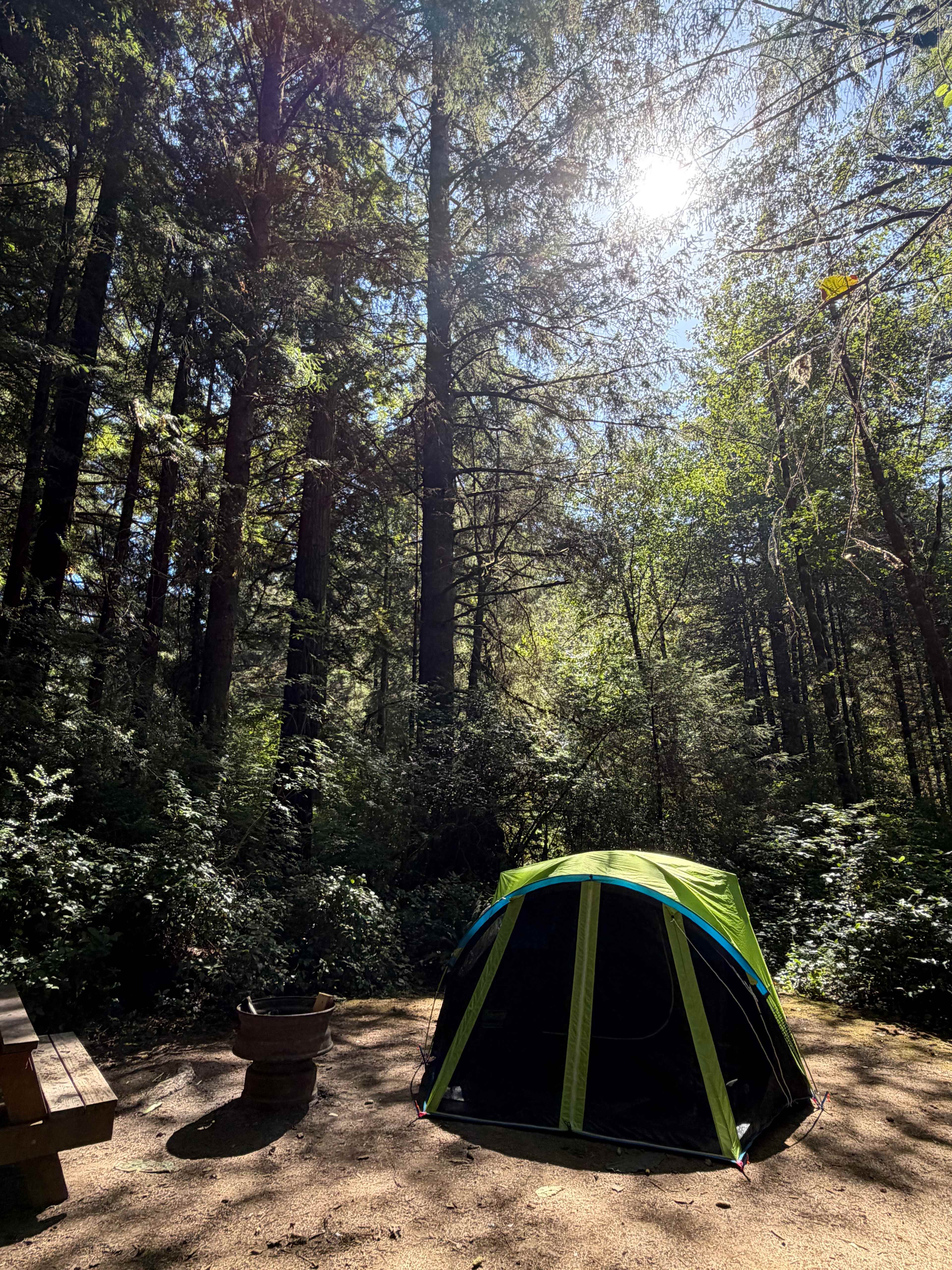 Mystic Forest Campground
