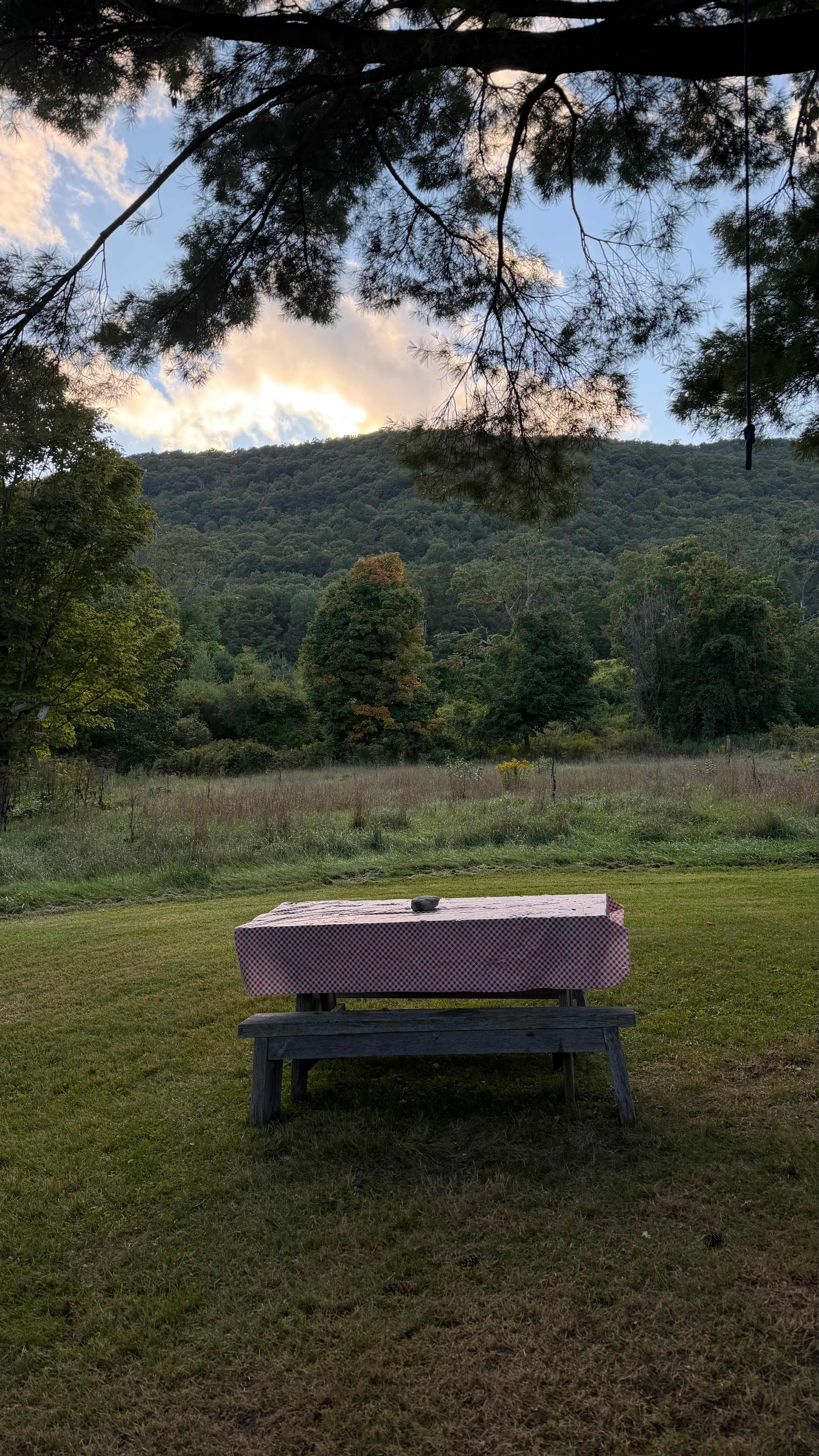 Timbertrail Farm