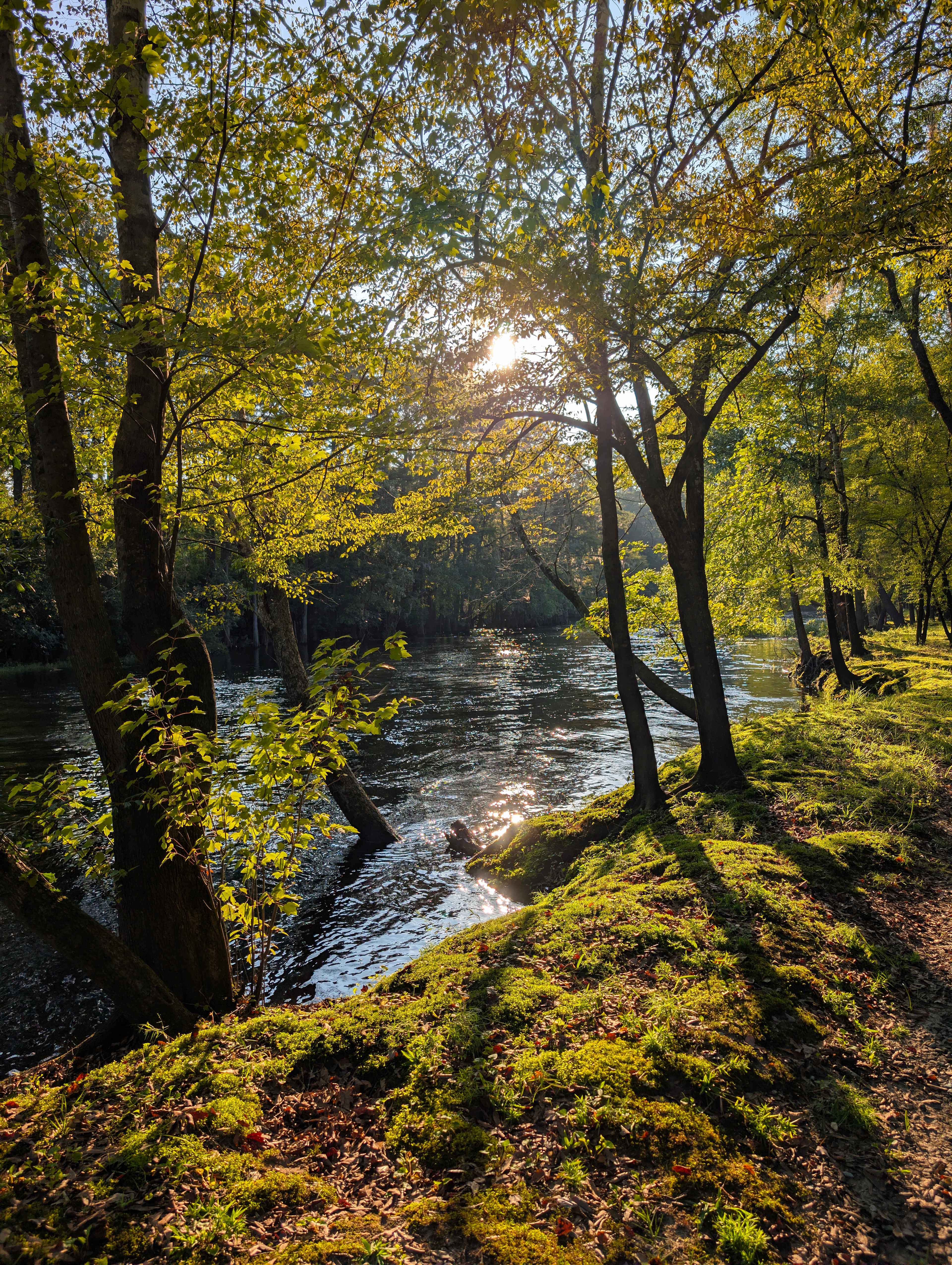 Black River Camping Ventures