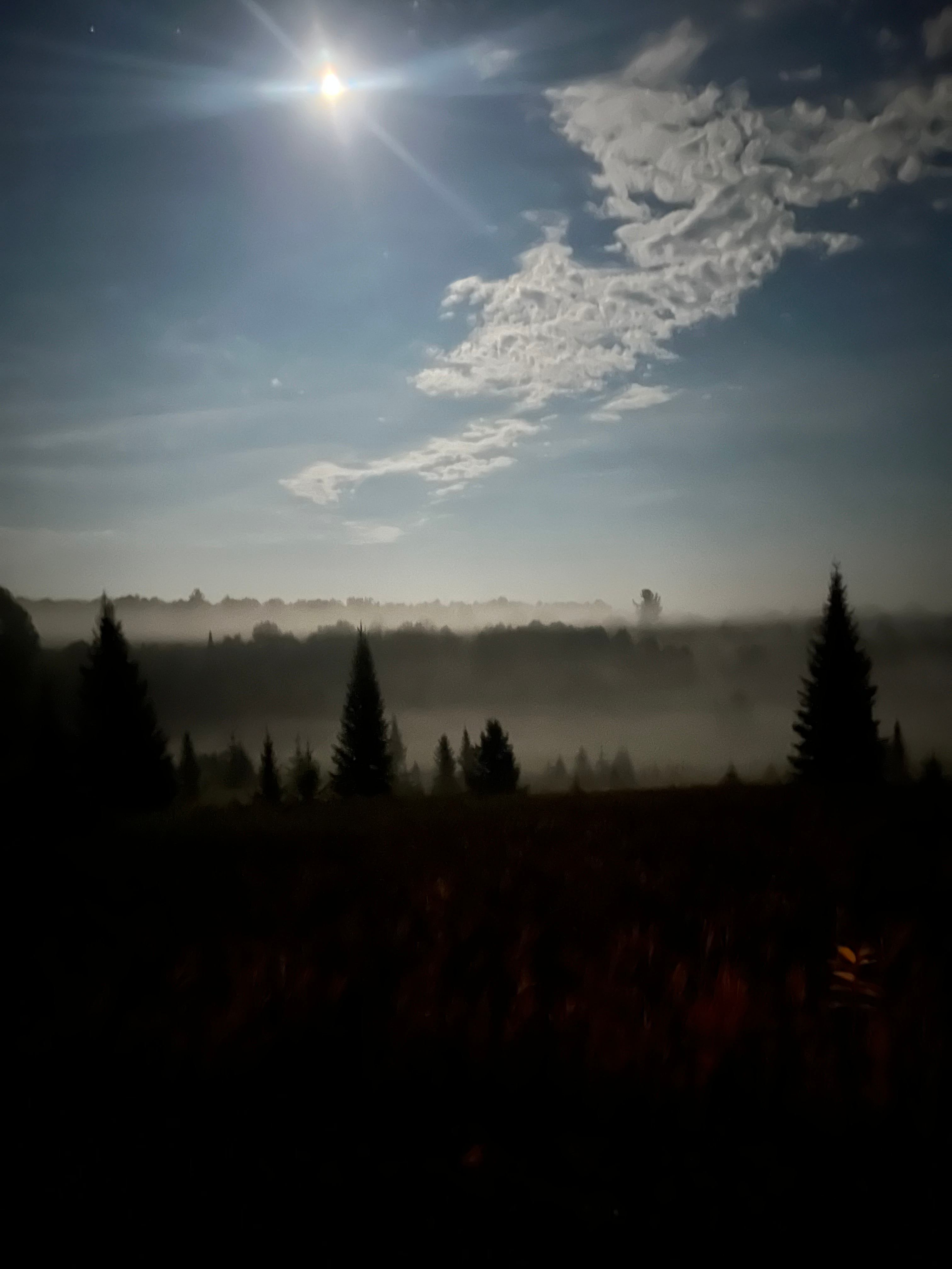Elmcrest Acres
