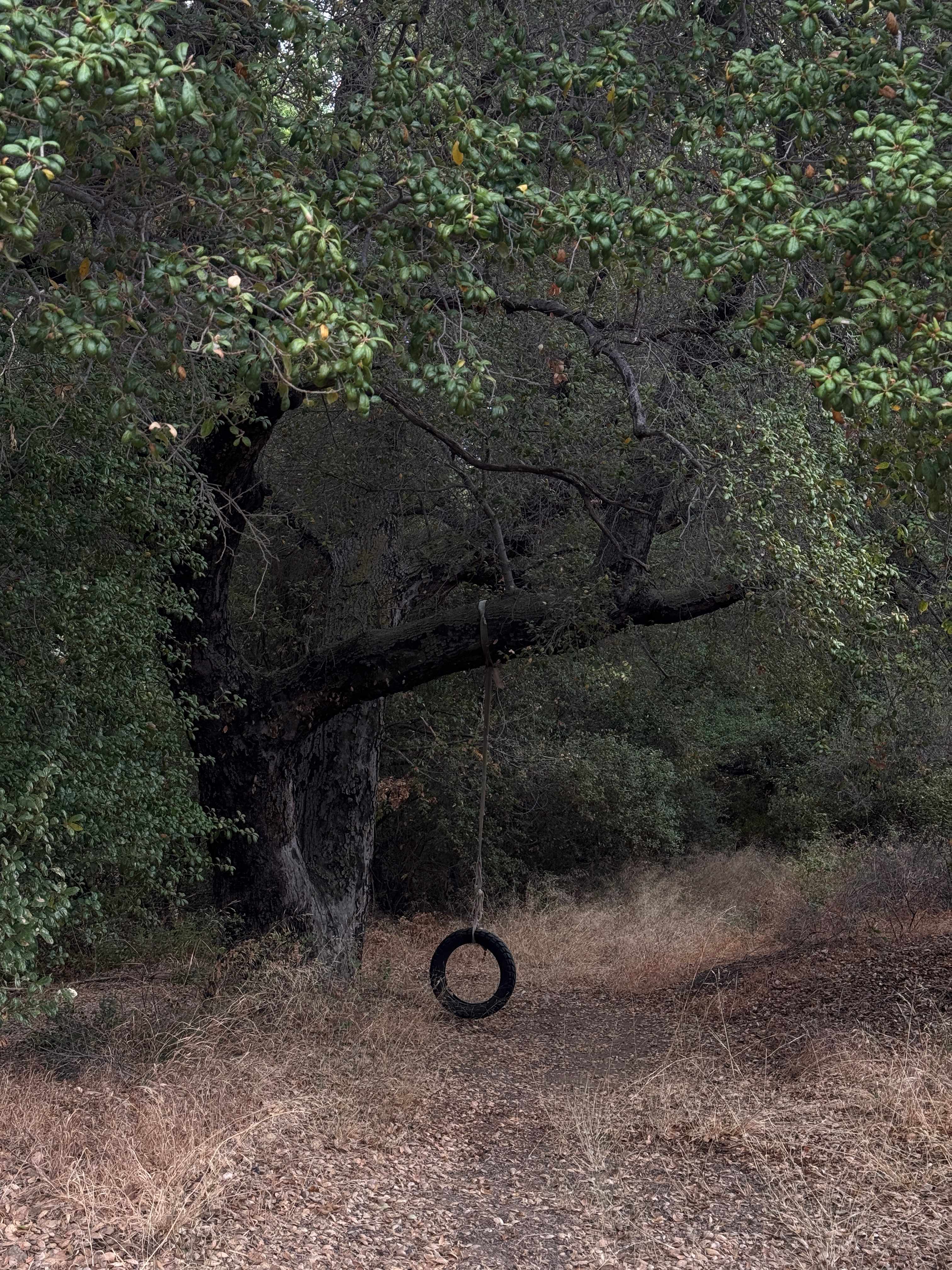 King Creek Campground