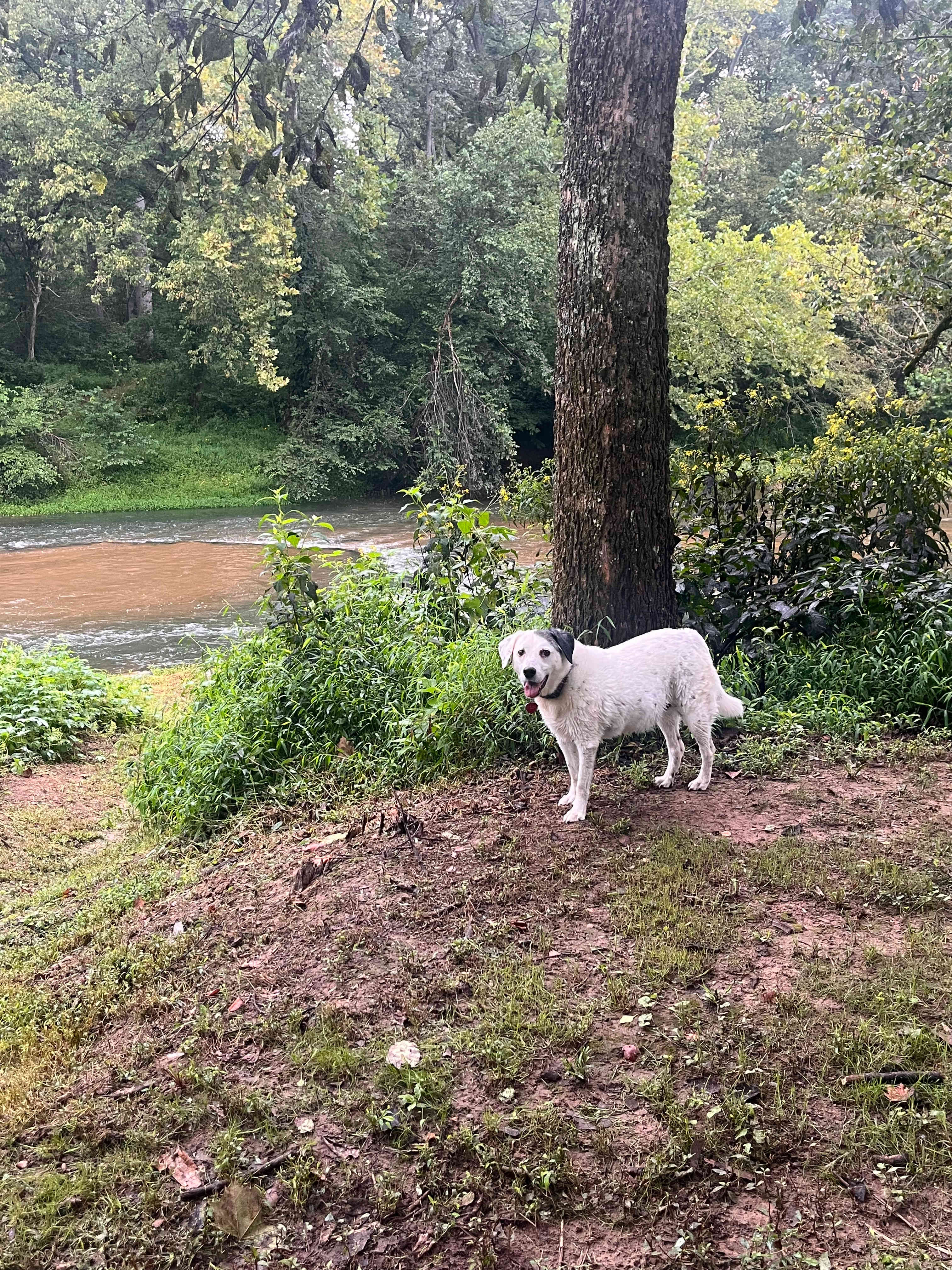 Private Camping on the Hazel River