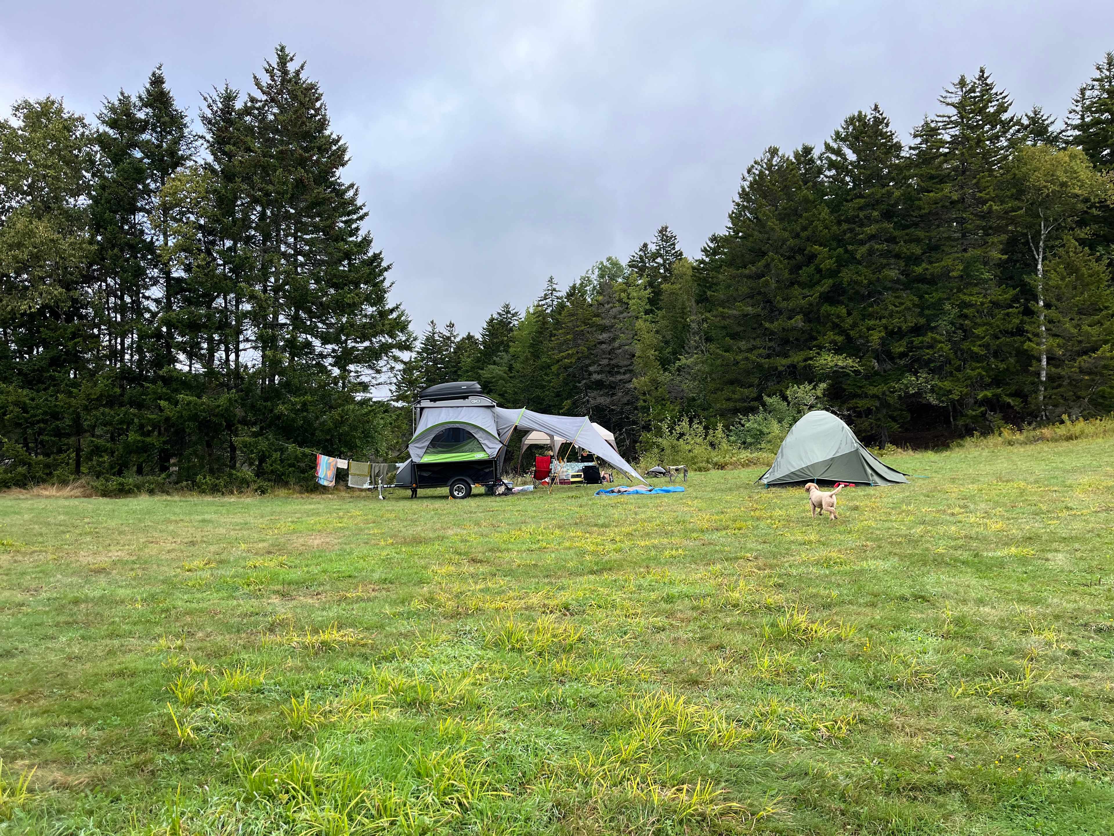 Our campsite
