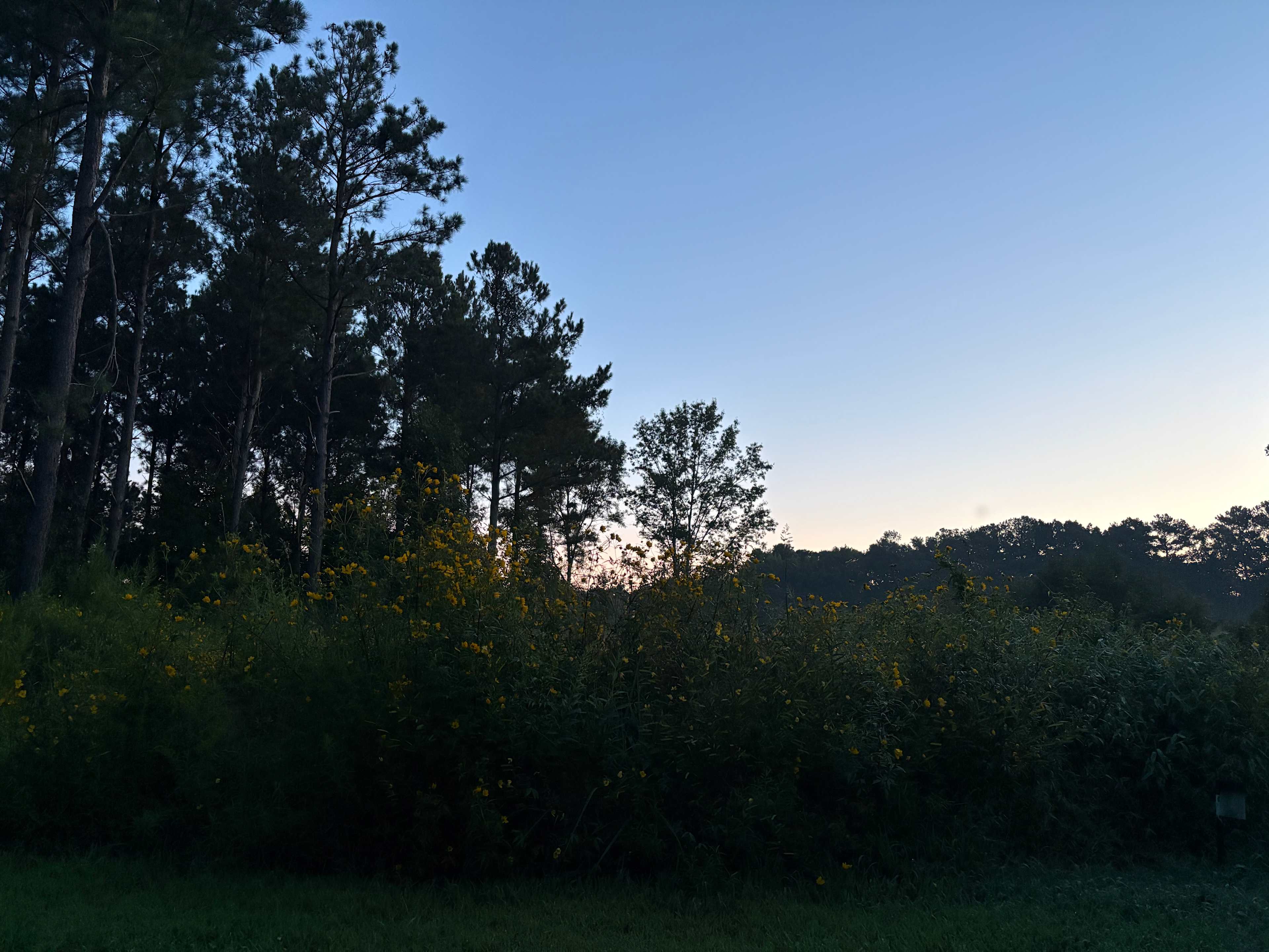 Woodland Retreat Near The Beach