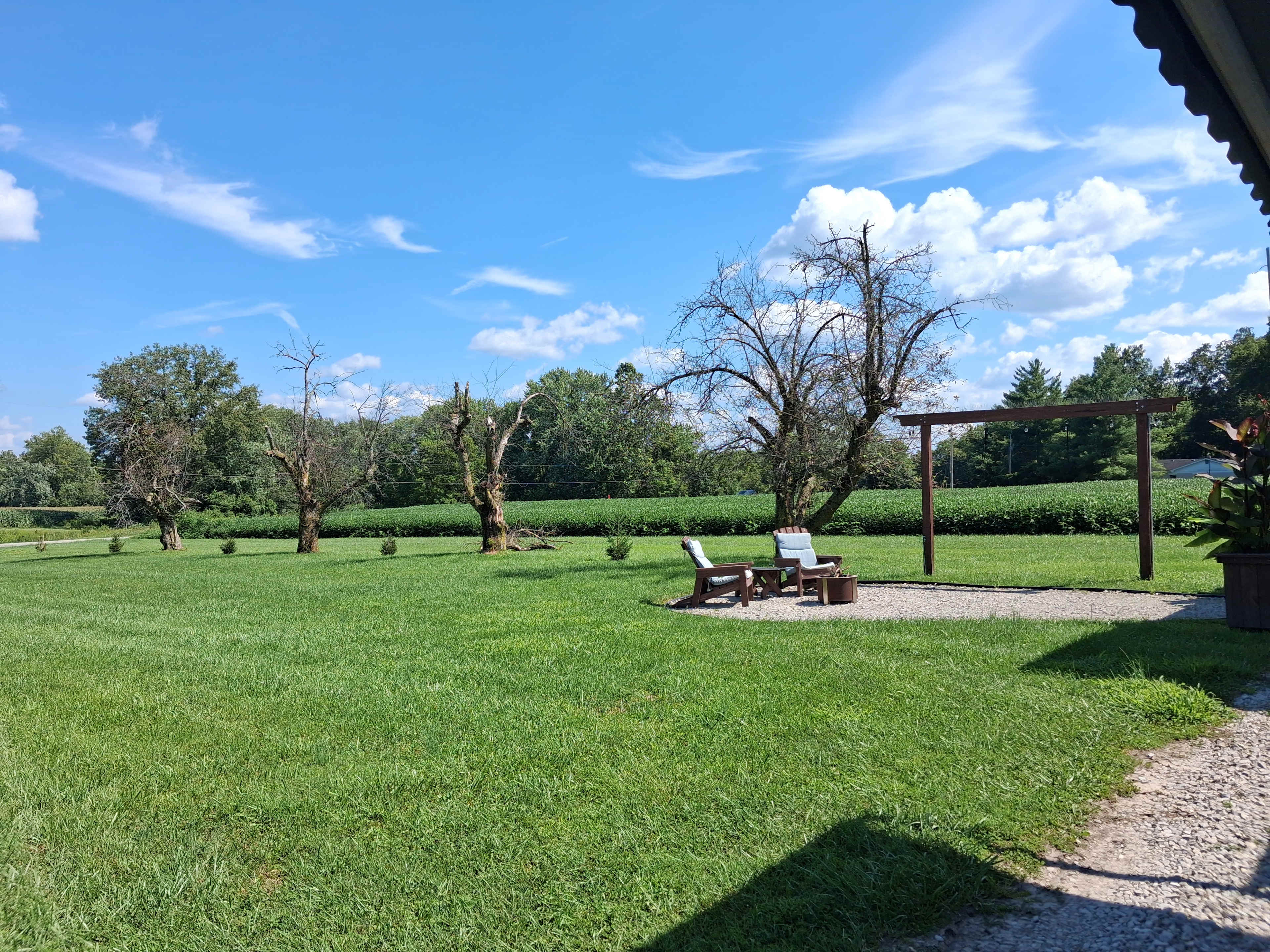Apple acres