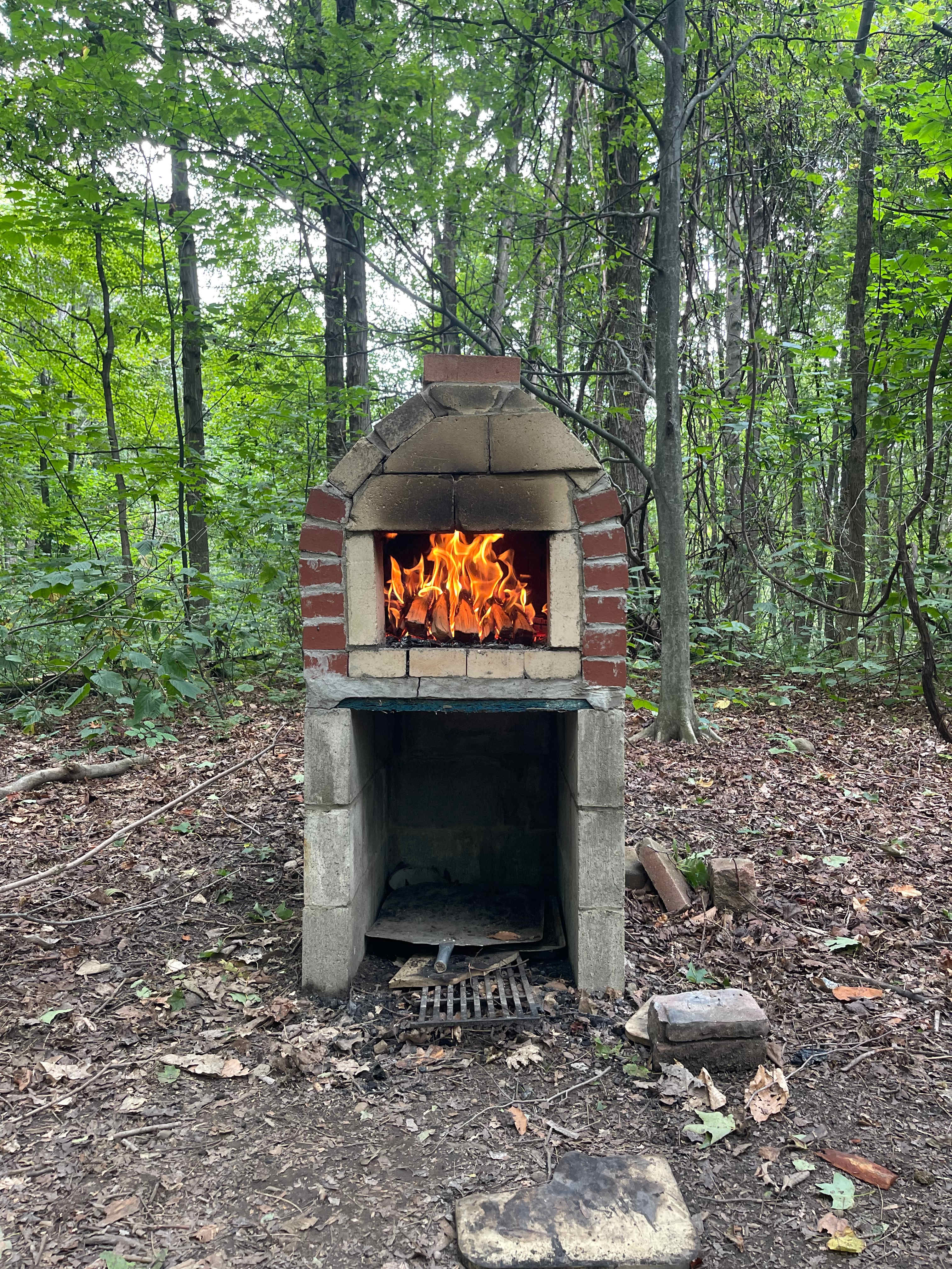 Zoar Valley Forest Retreat