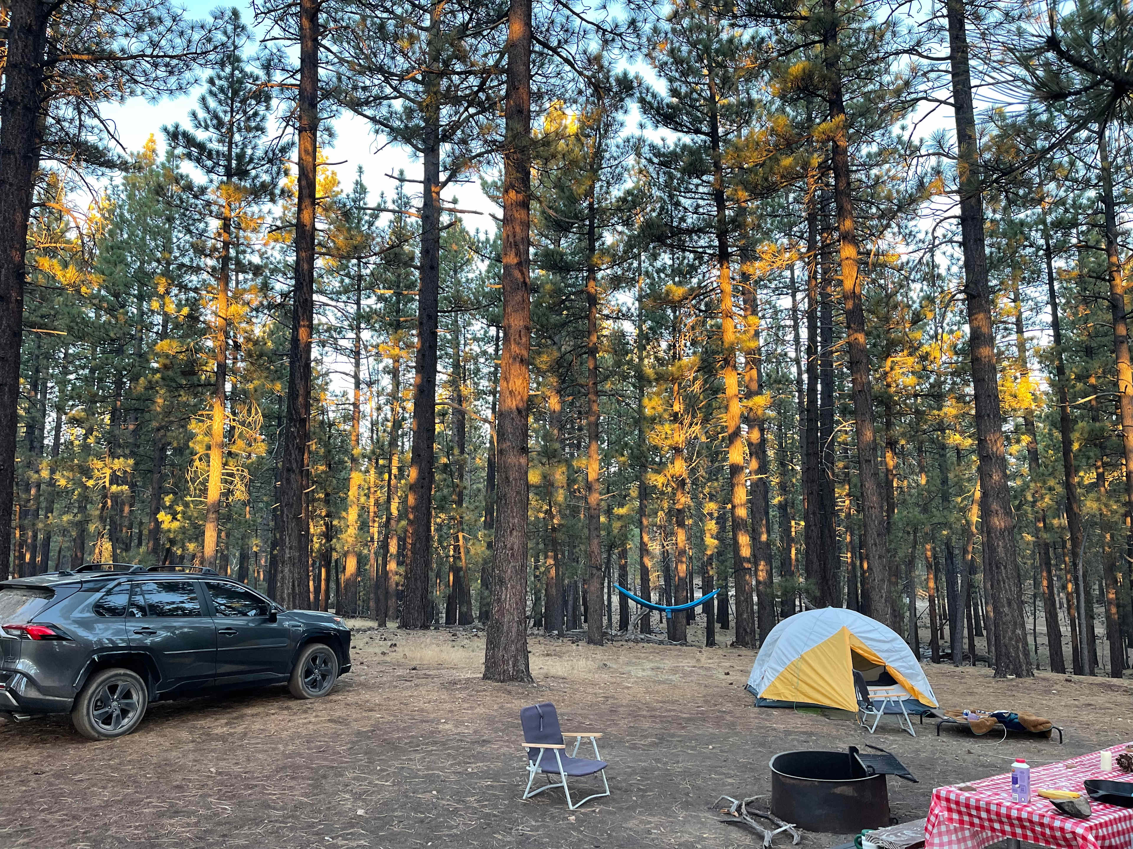 Holcomb Valley Ranch