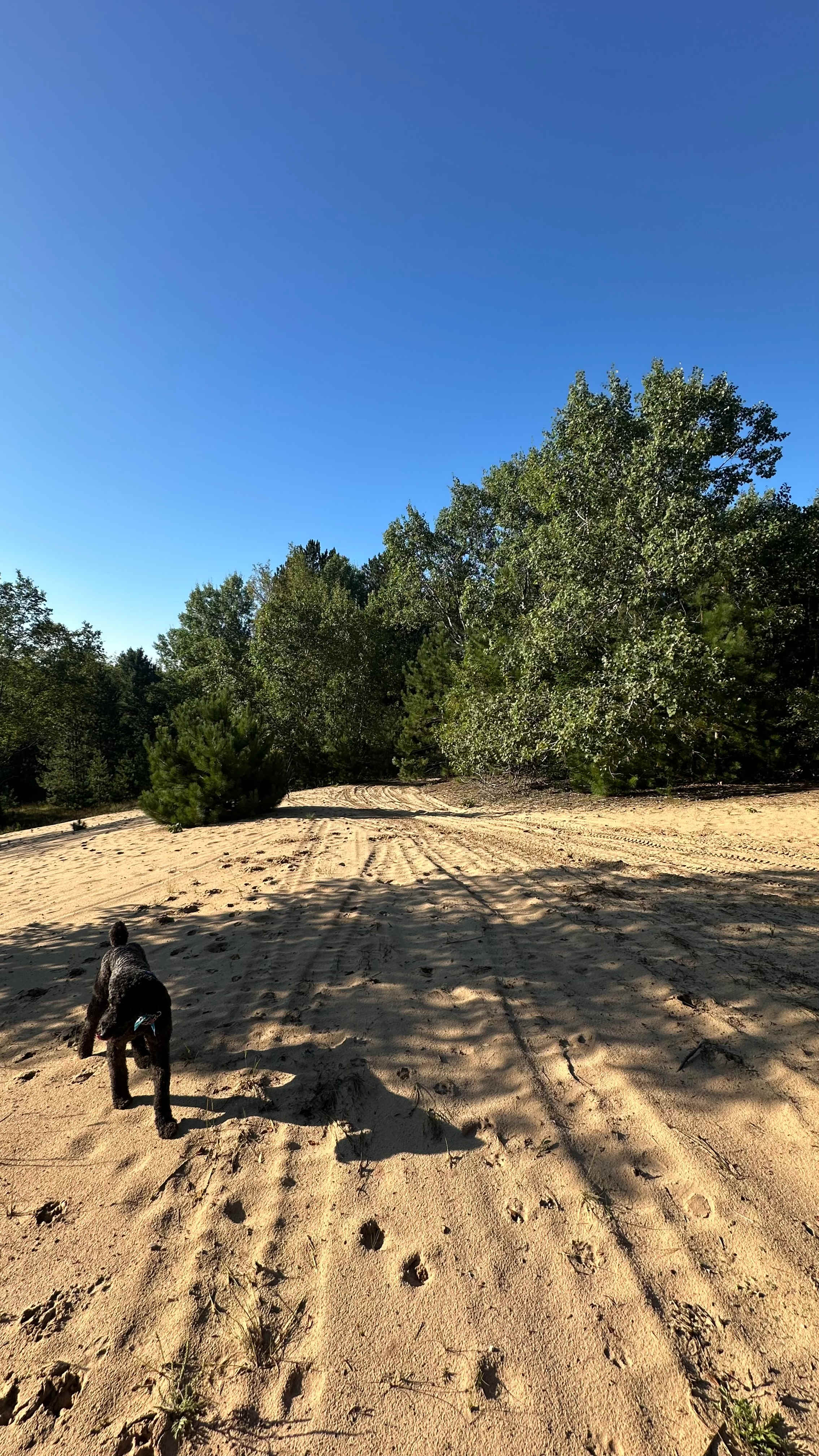 Angel Dunes Private Camp