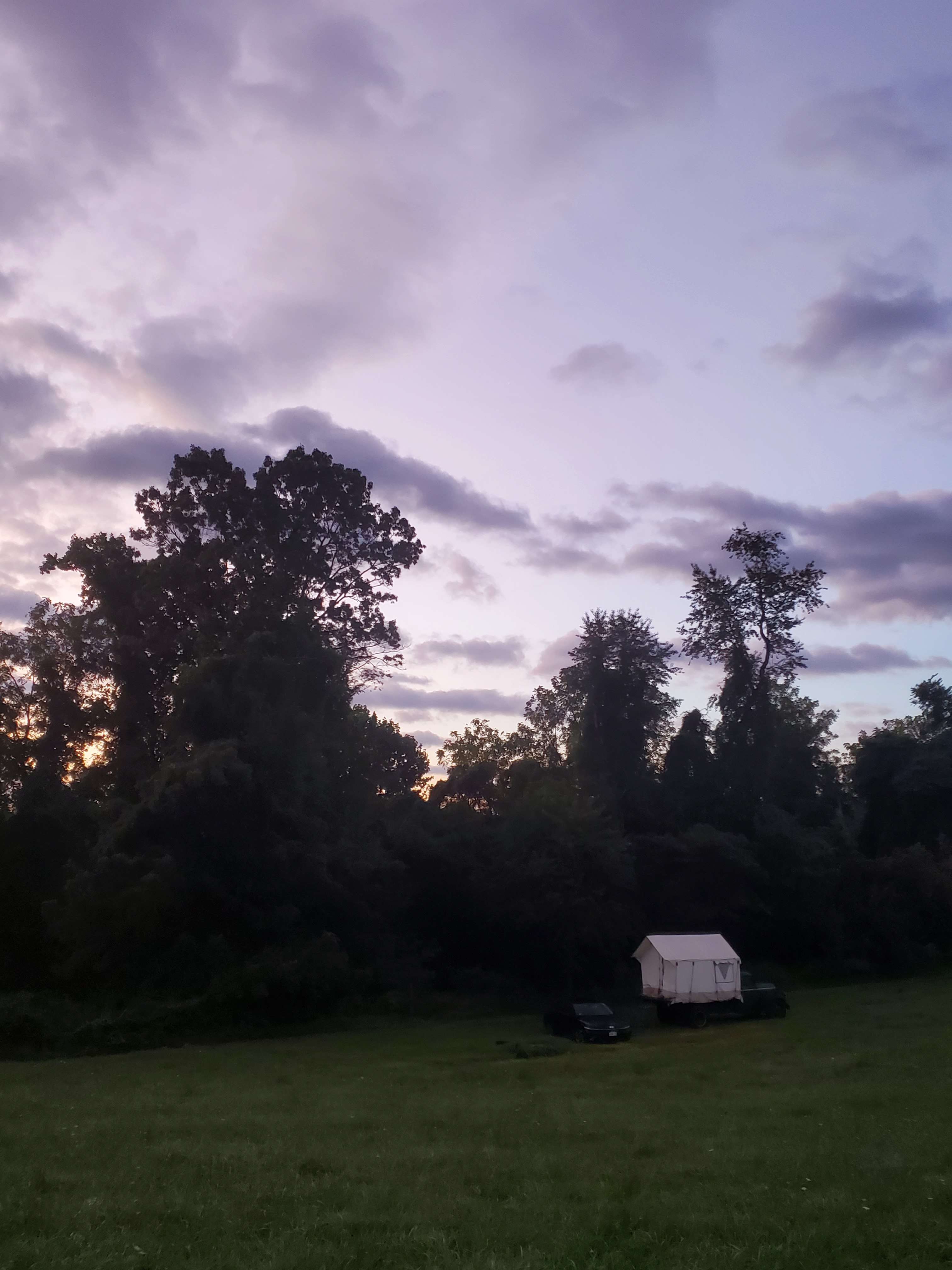 Maple Grove Farm