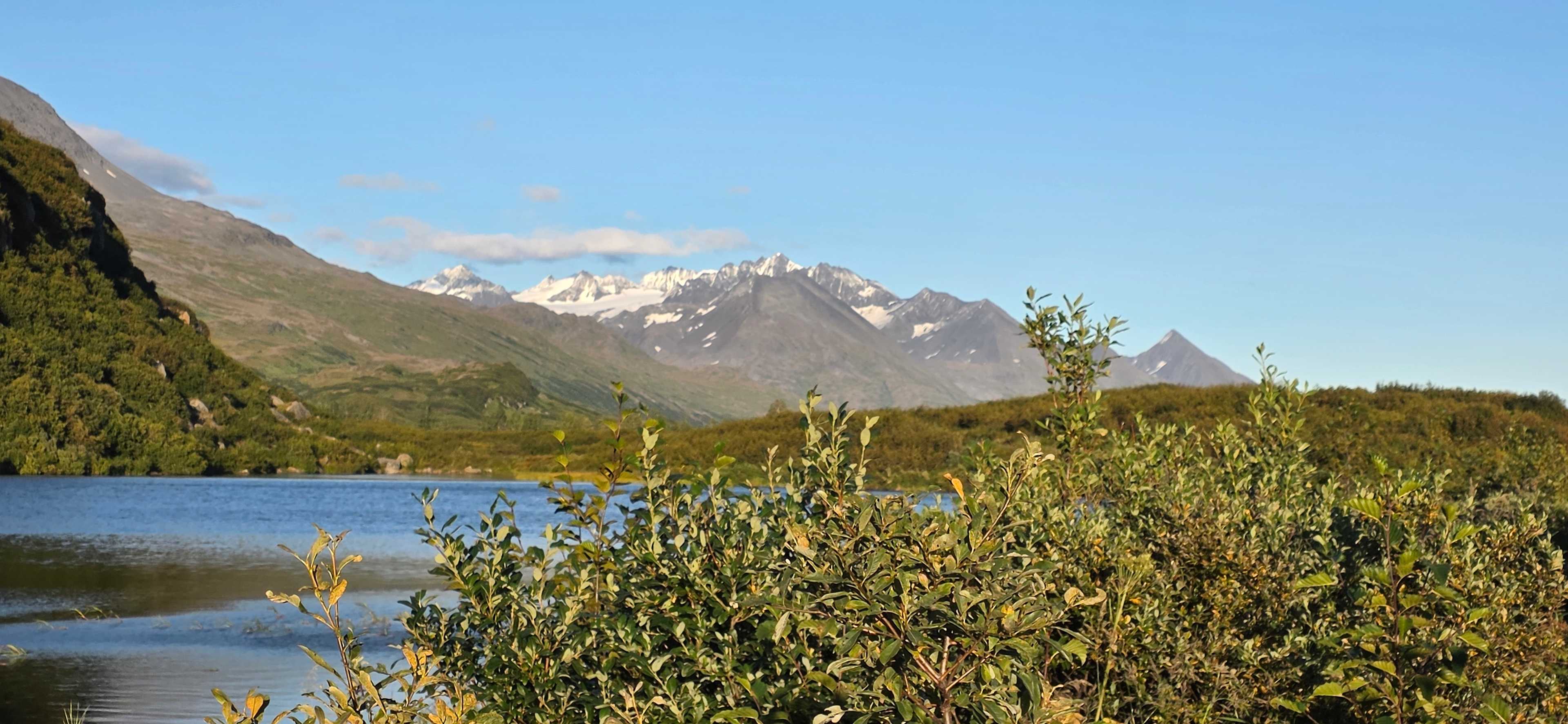 Valdez Adventure Alliance