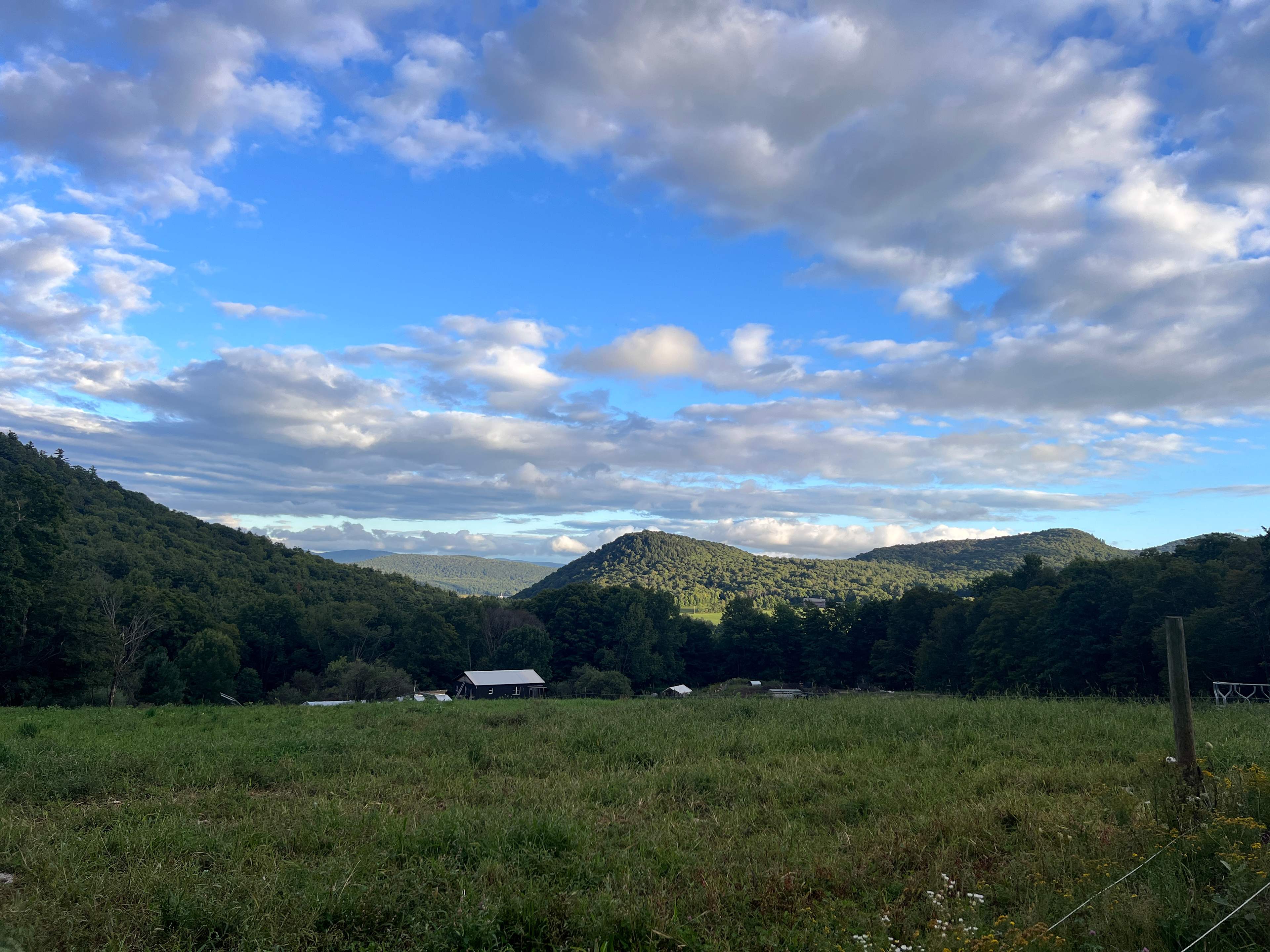 Squier Family Farm