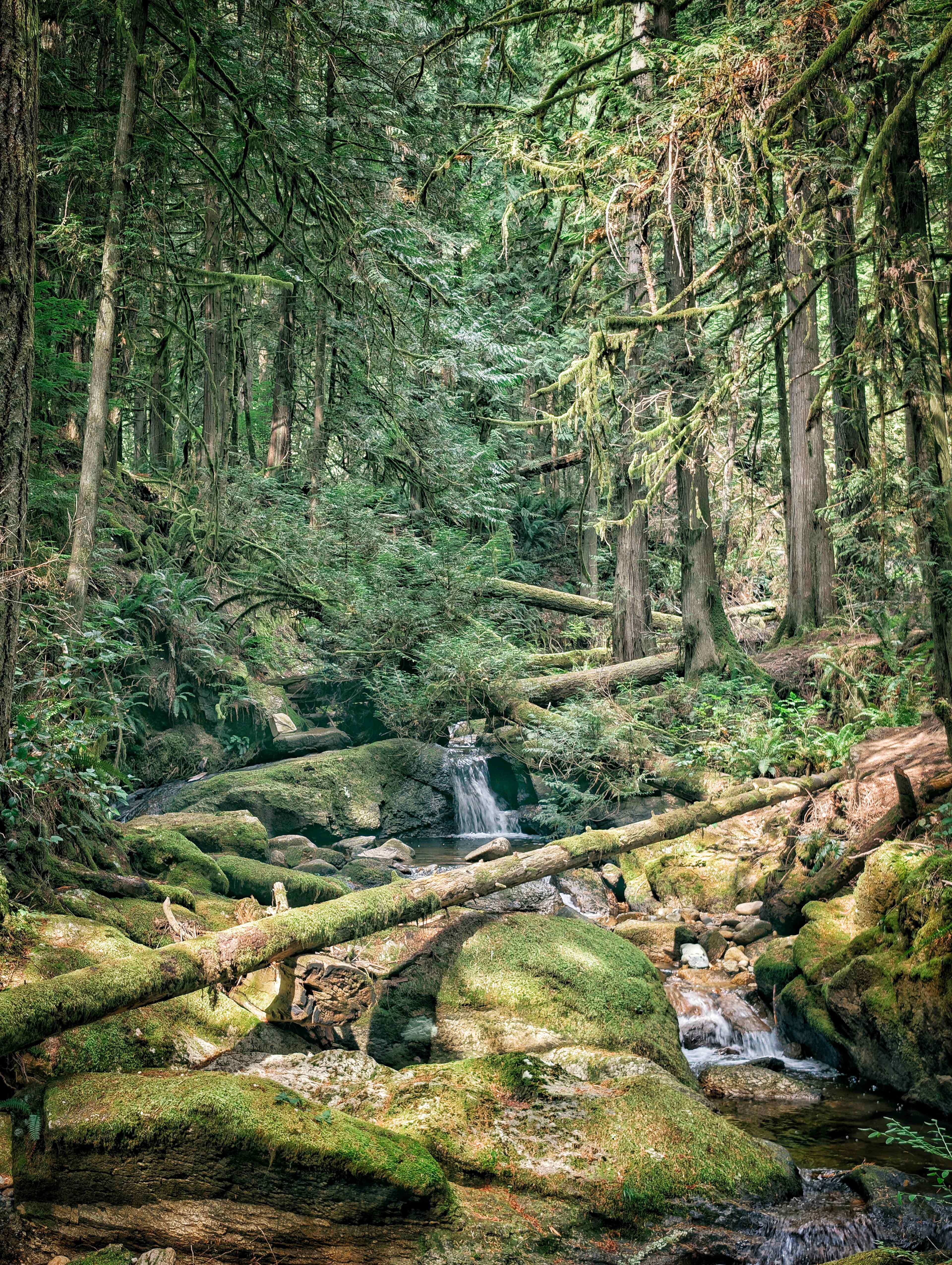 Living the Dream in Roberts Creek