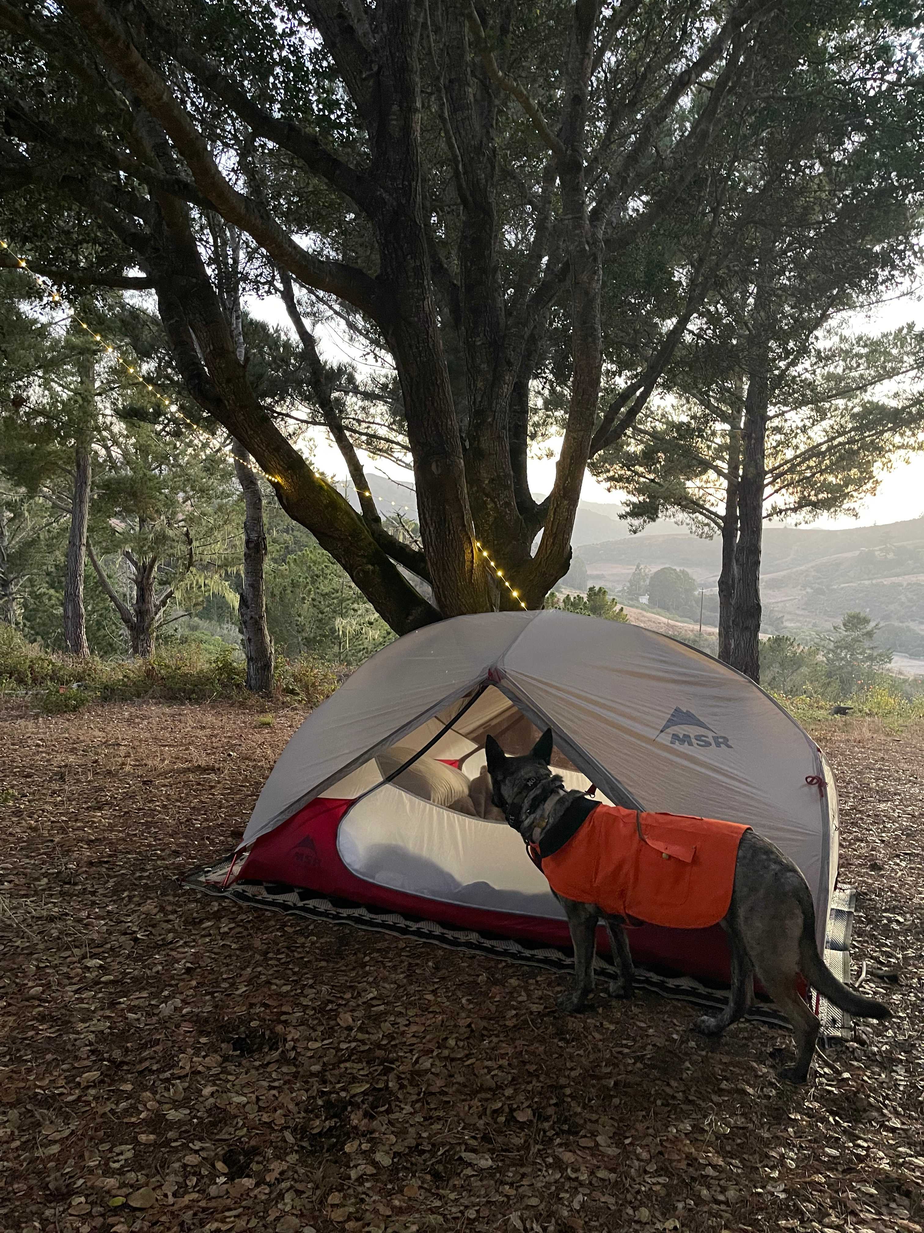 Bear Gulch Hide Out