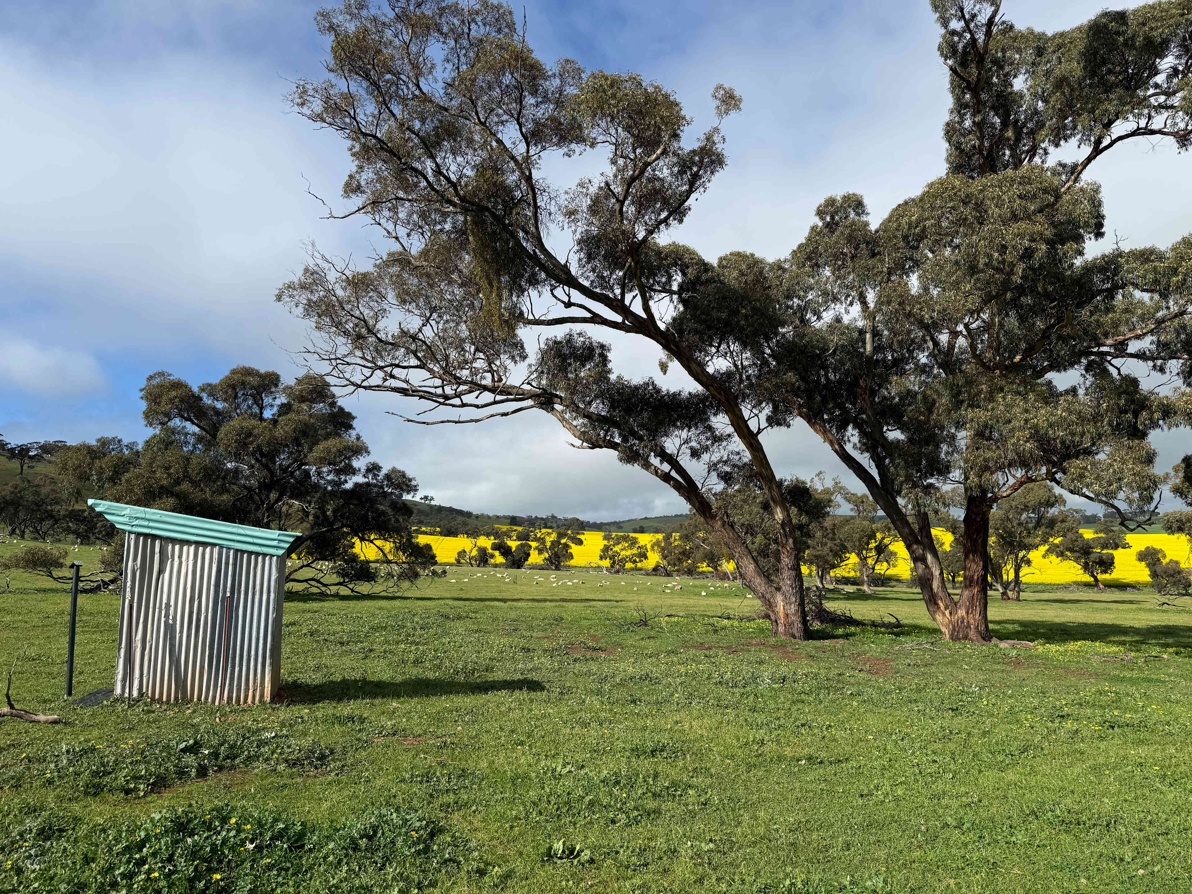 Edgehill Farm Stays Riverton