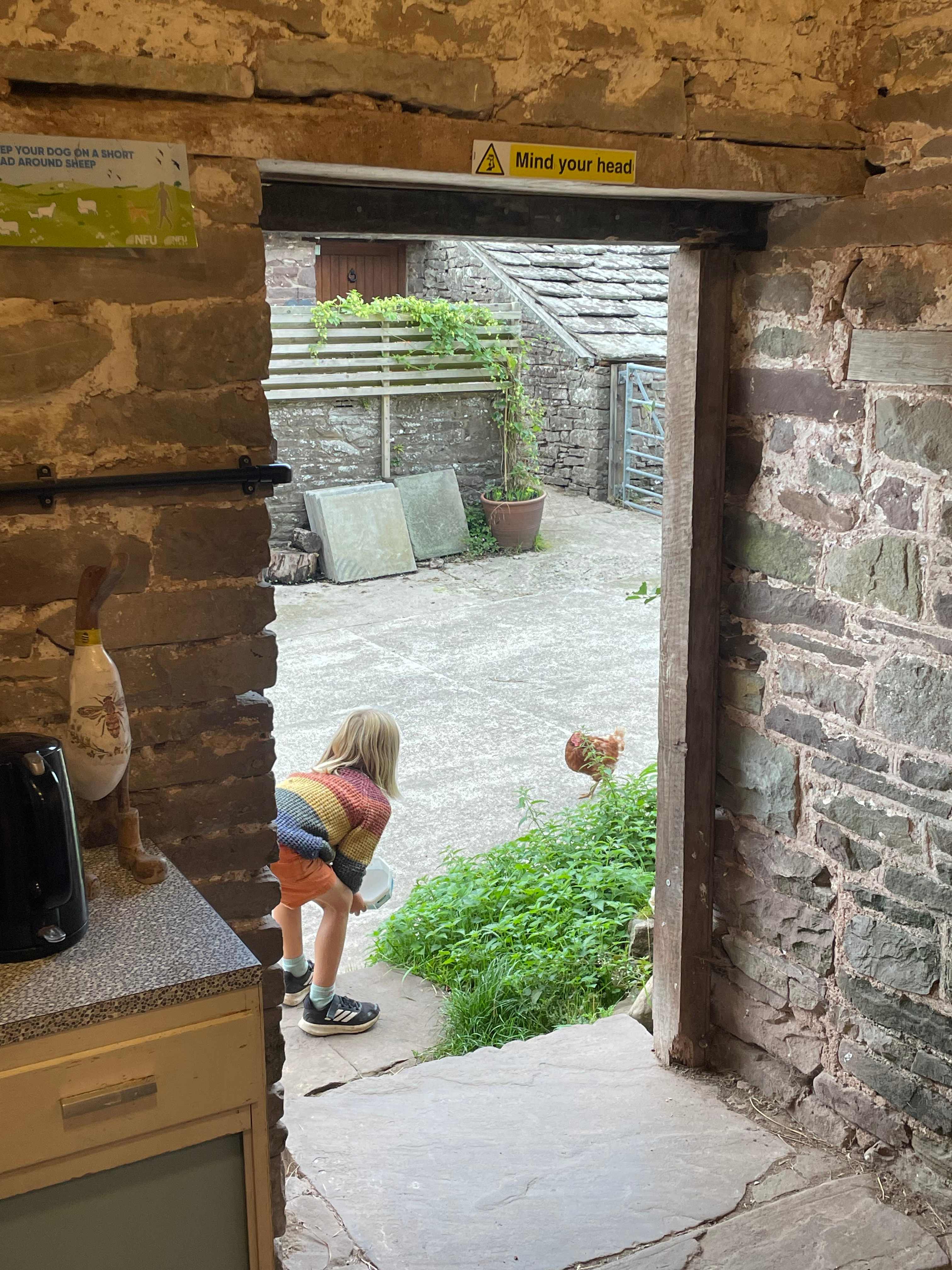 Cwmffrwd Farm Campsite