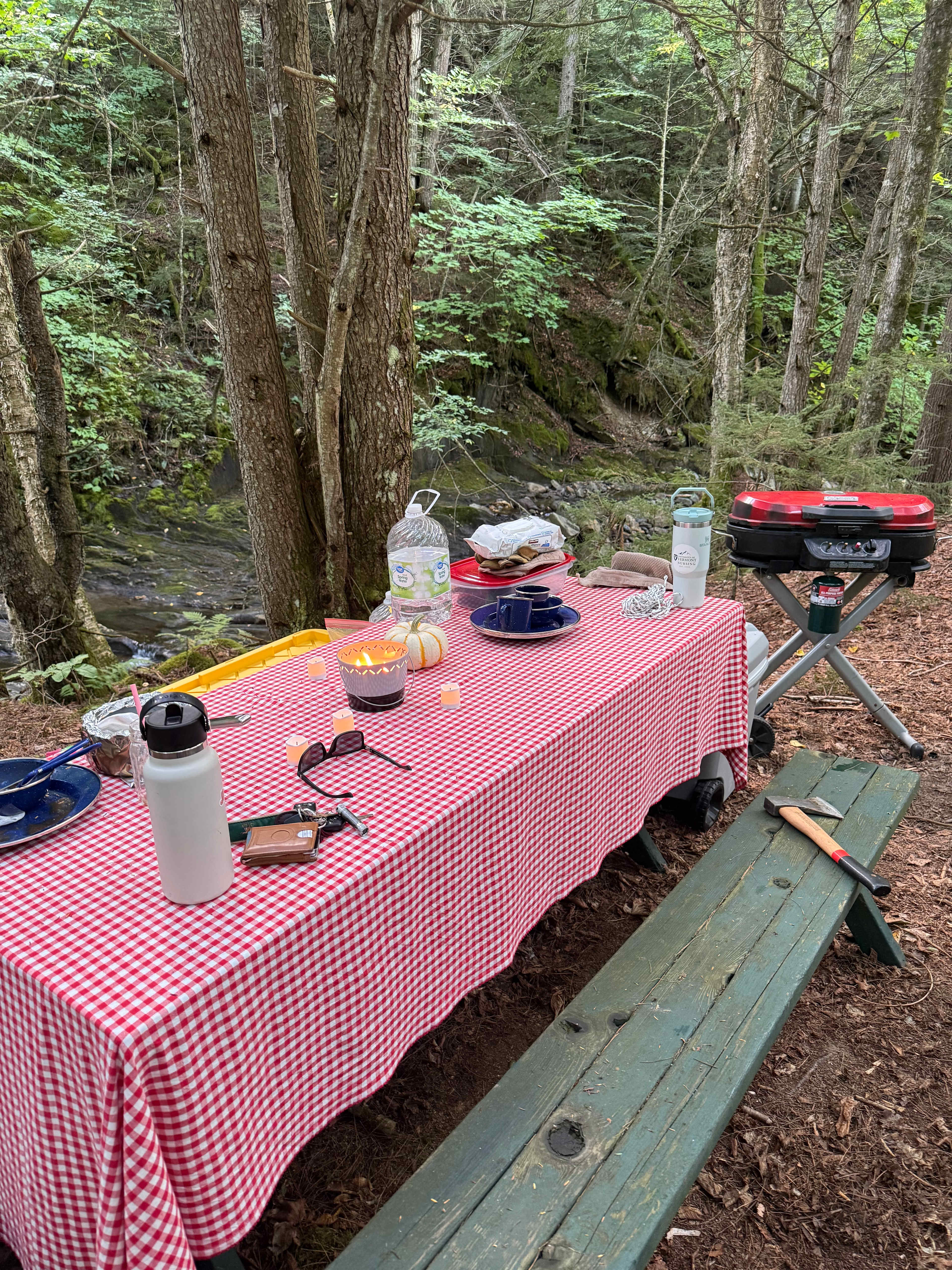 Grand Paws Farm Site 1