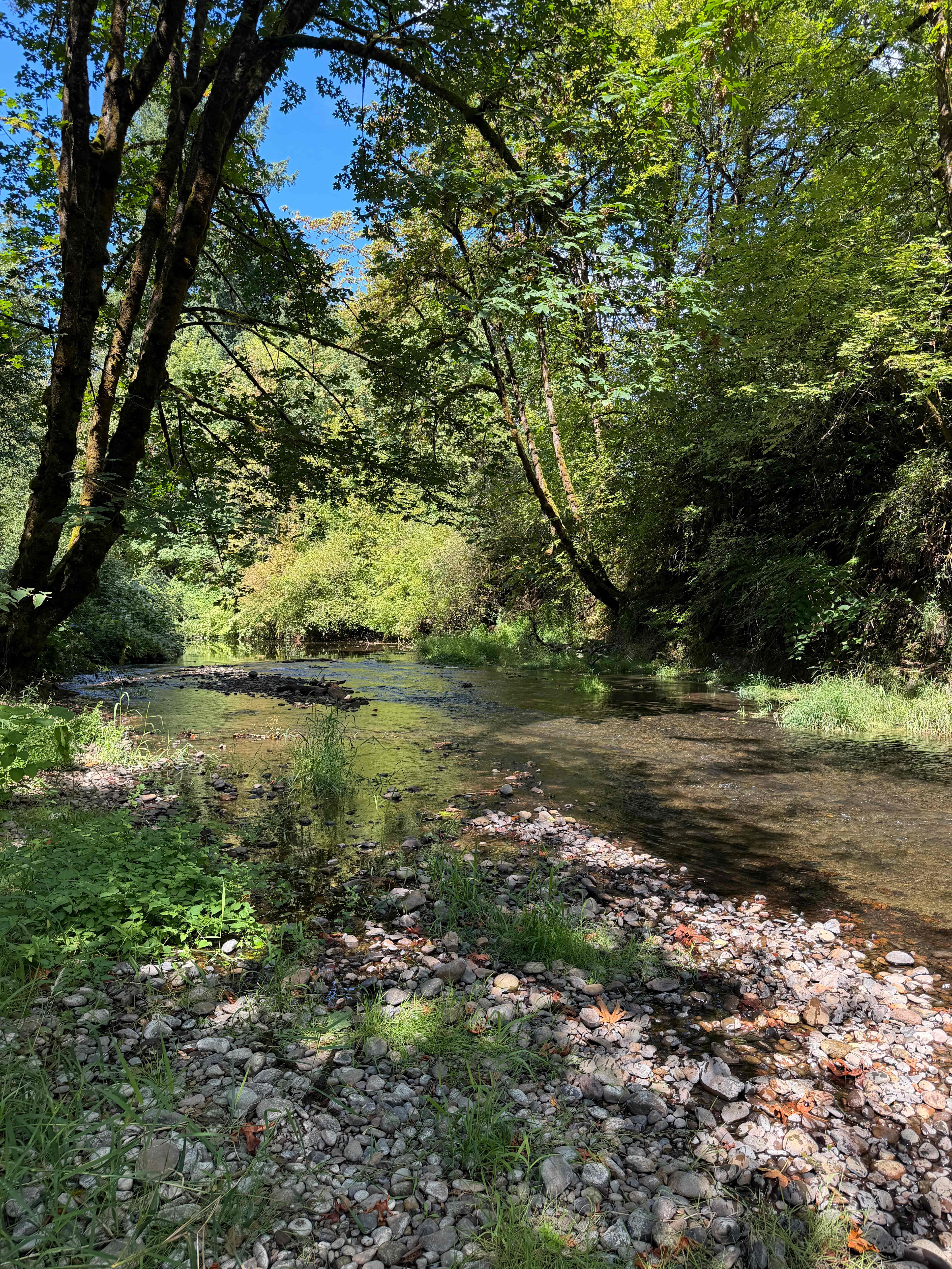 Isla Springs