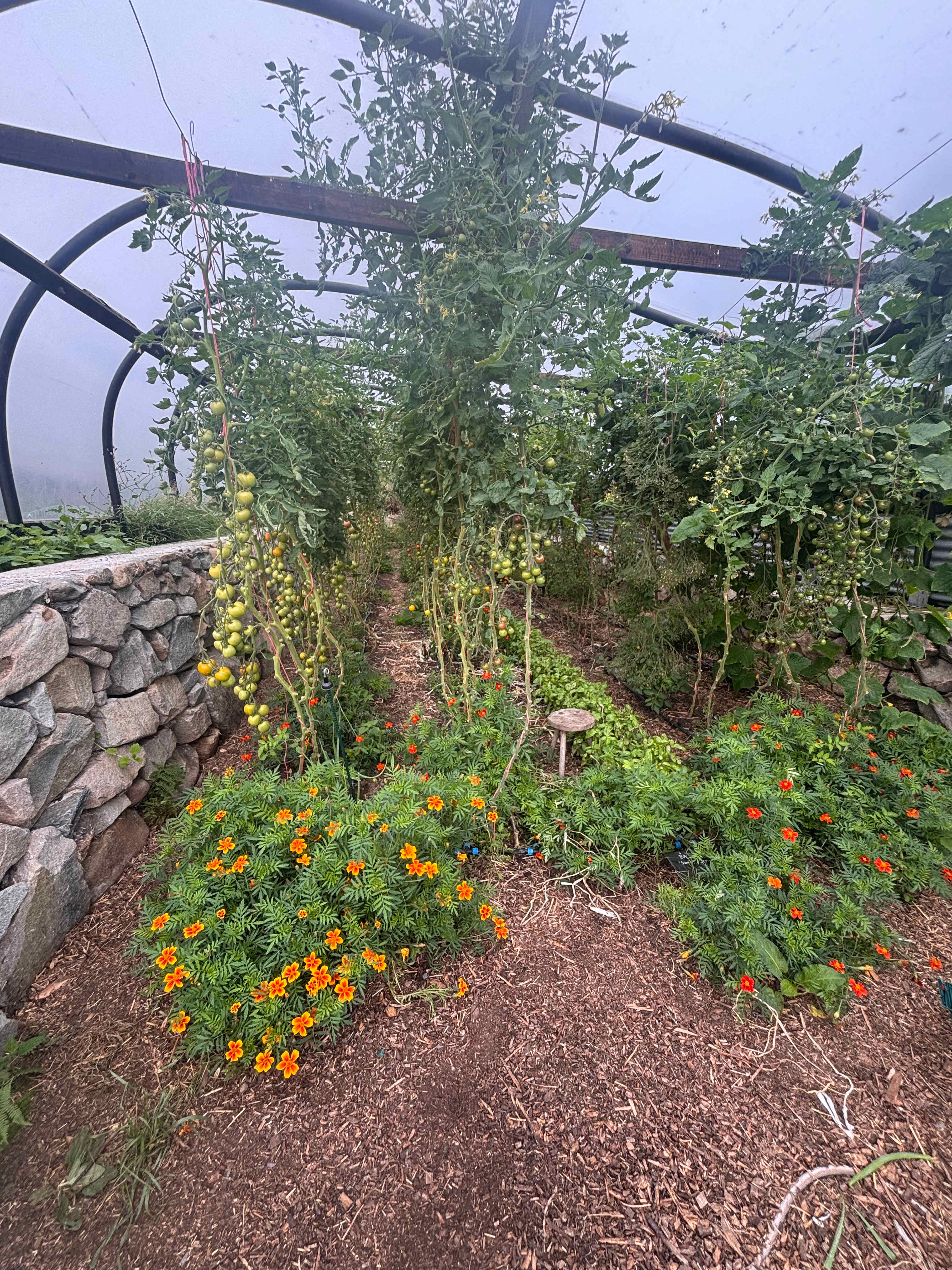 Henbant Permaculture Farm + Camp