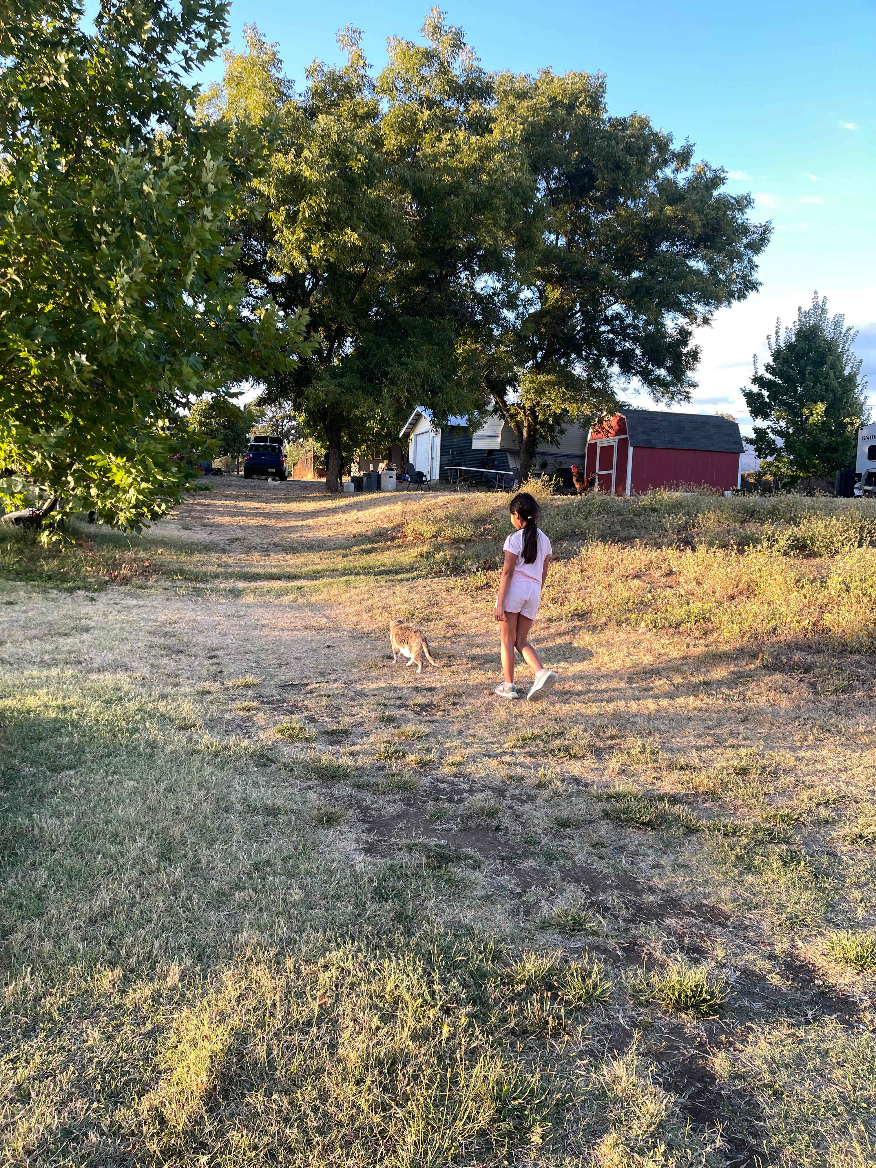 Love Creek Sanctuary!