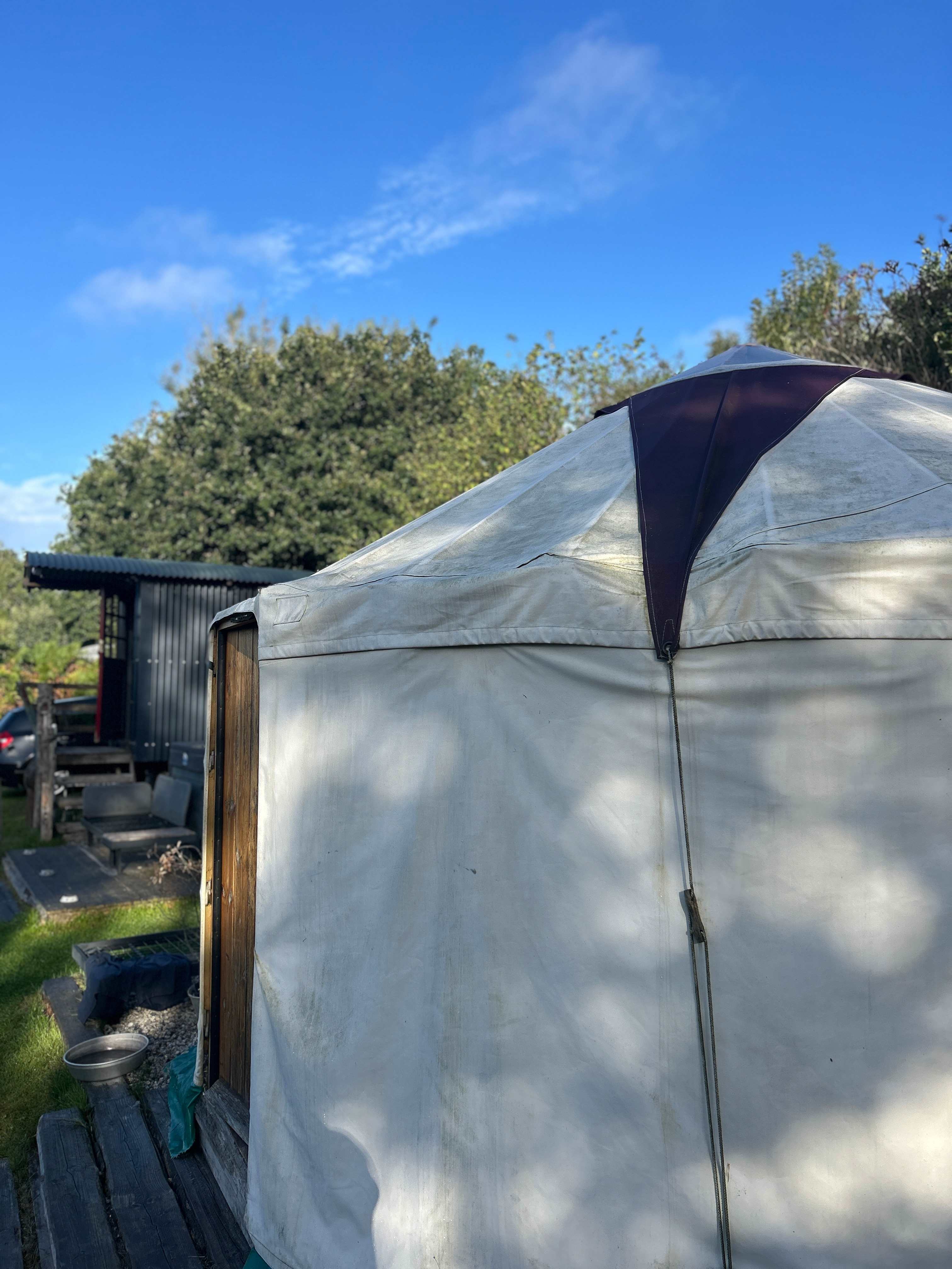 Yurt in the Orchard