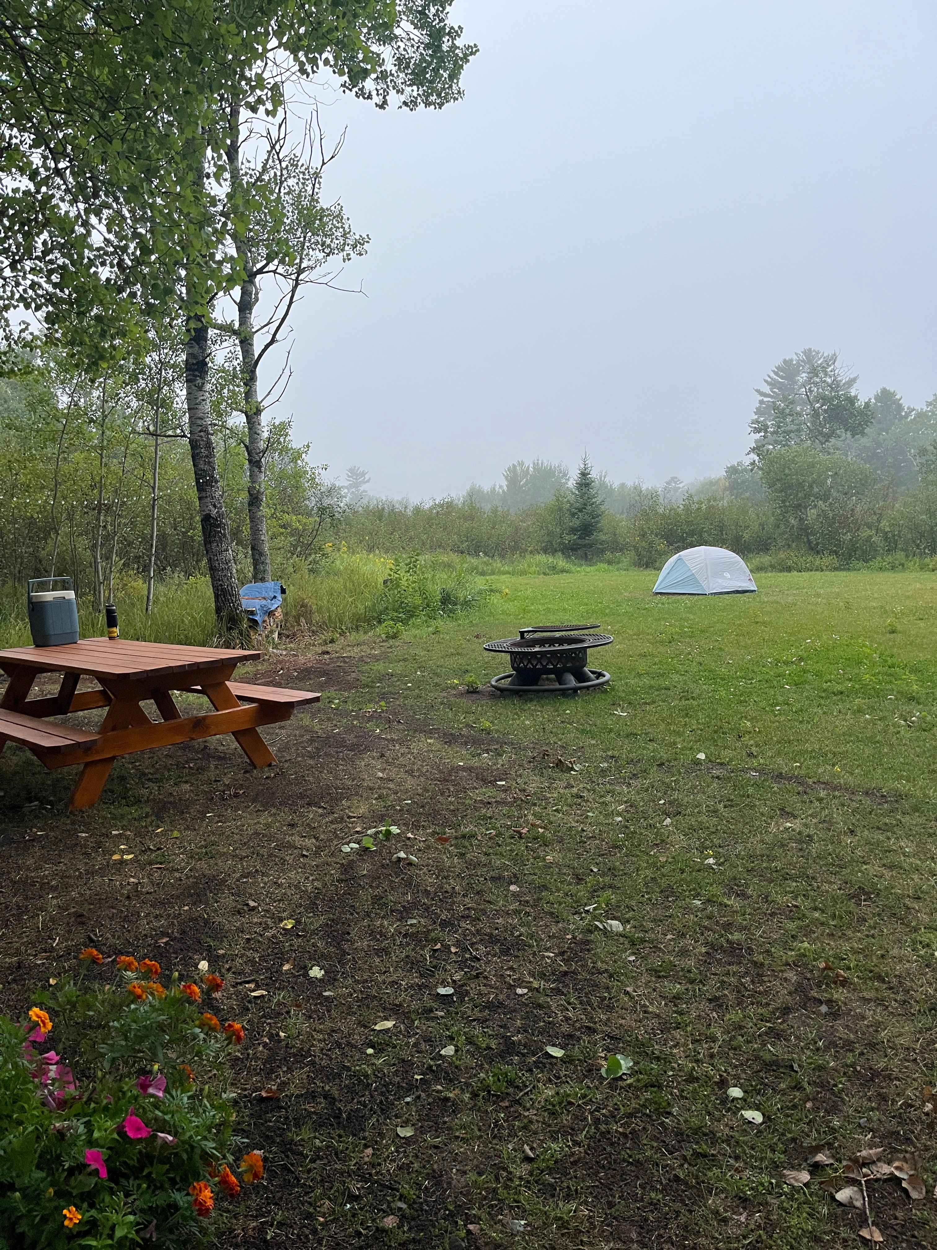 The Superior Glade