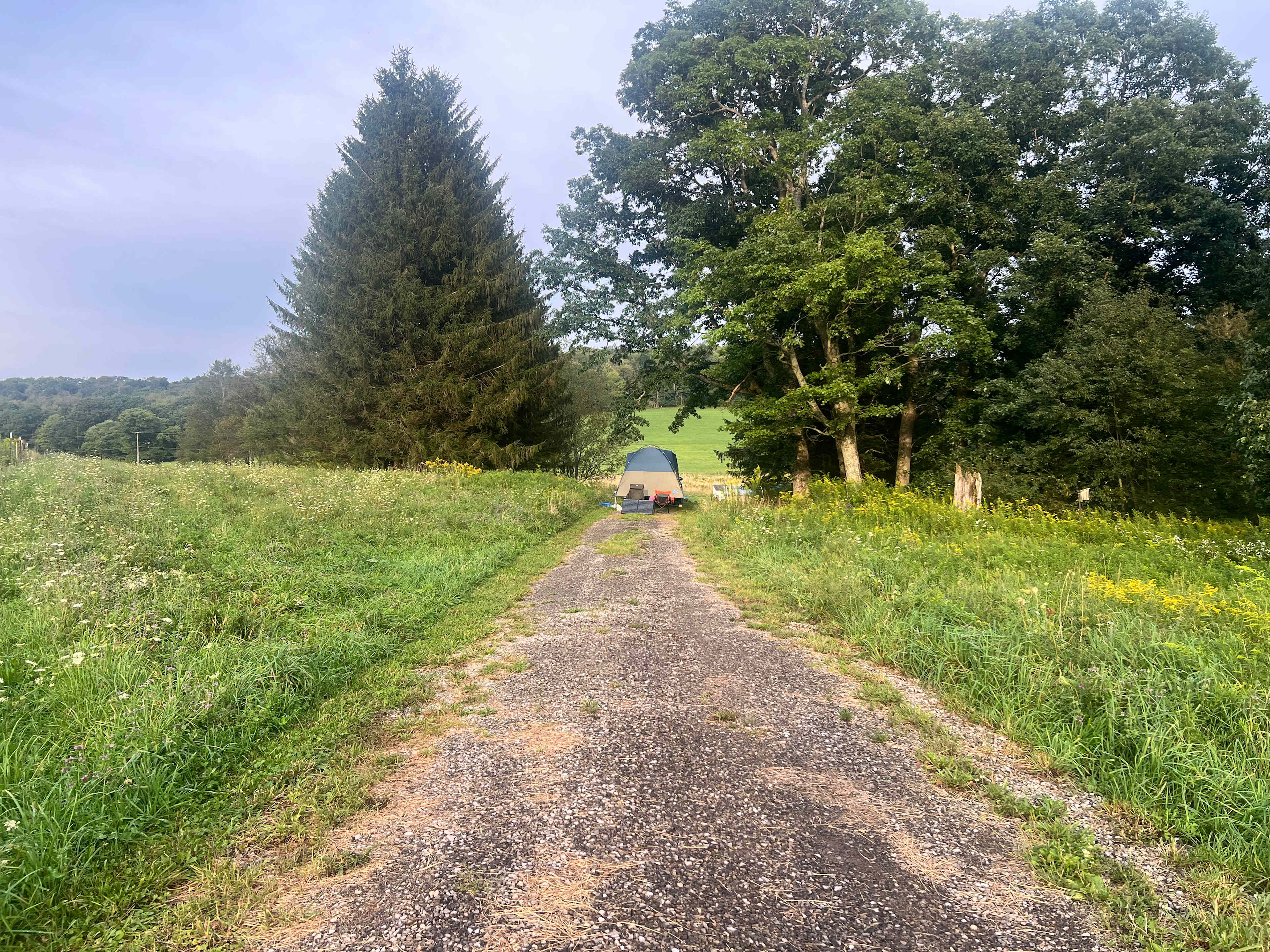 Possum Tail Farm