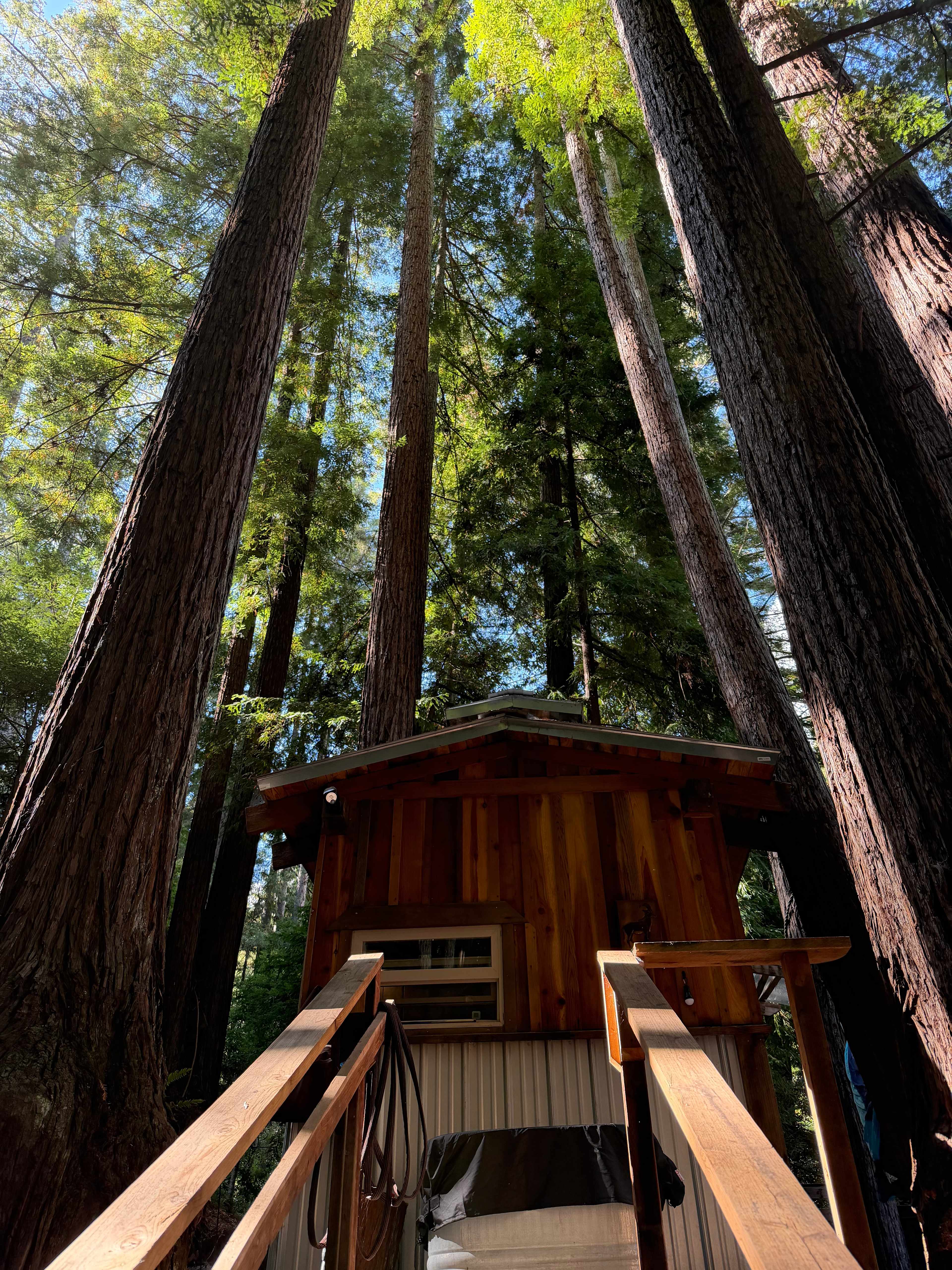 Leafy Lanes Tree House (“Fort”)