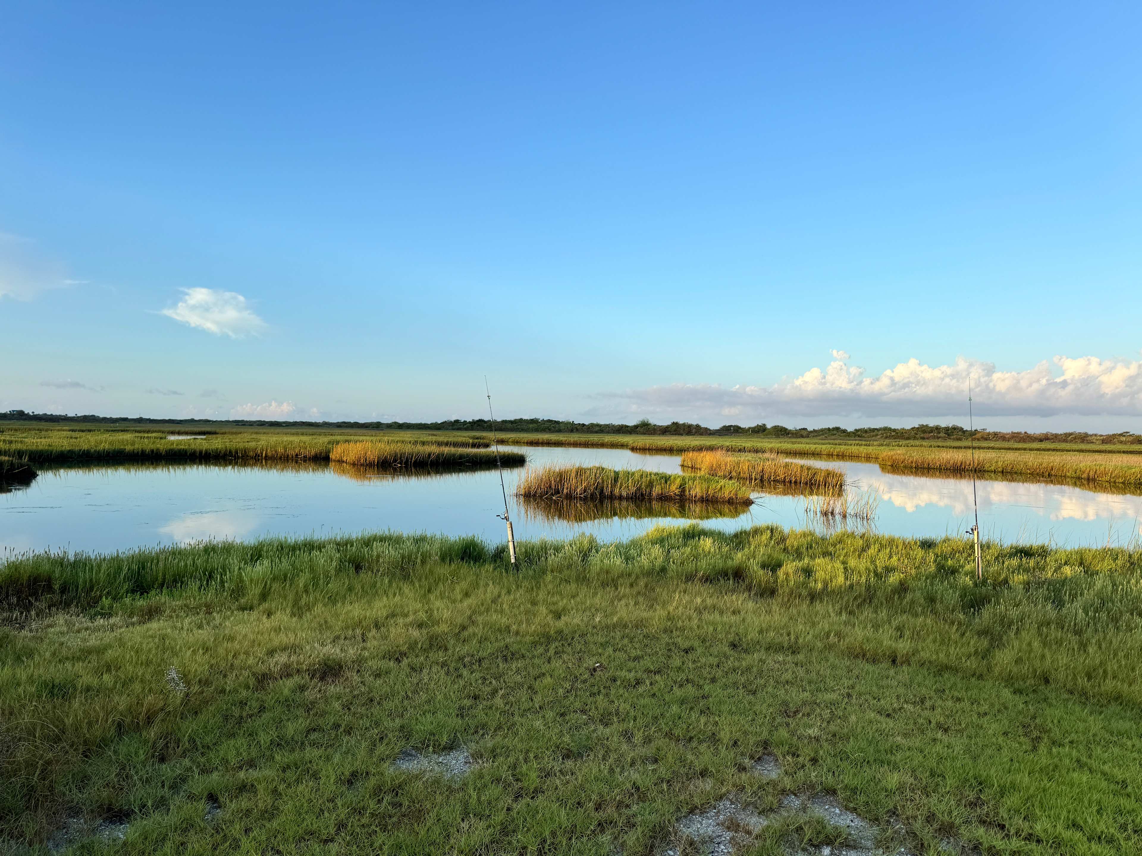 Peaceful morning marsh