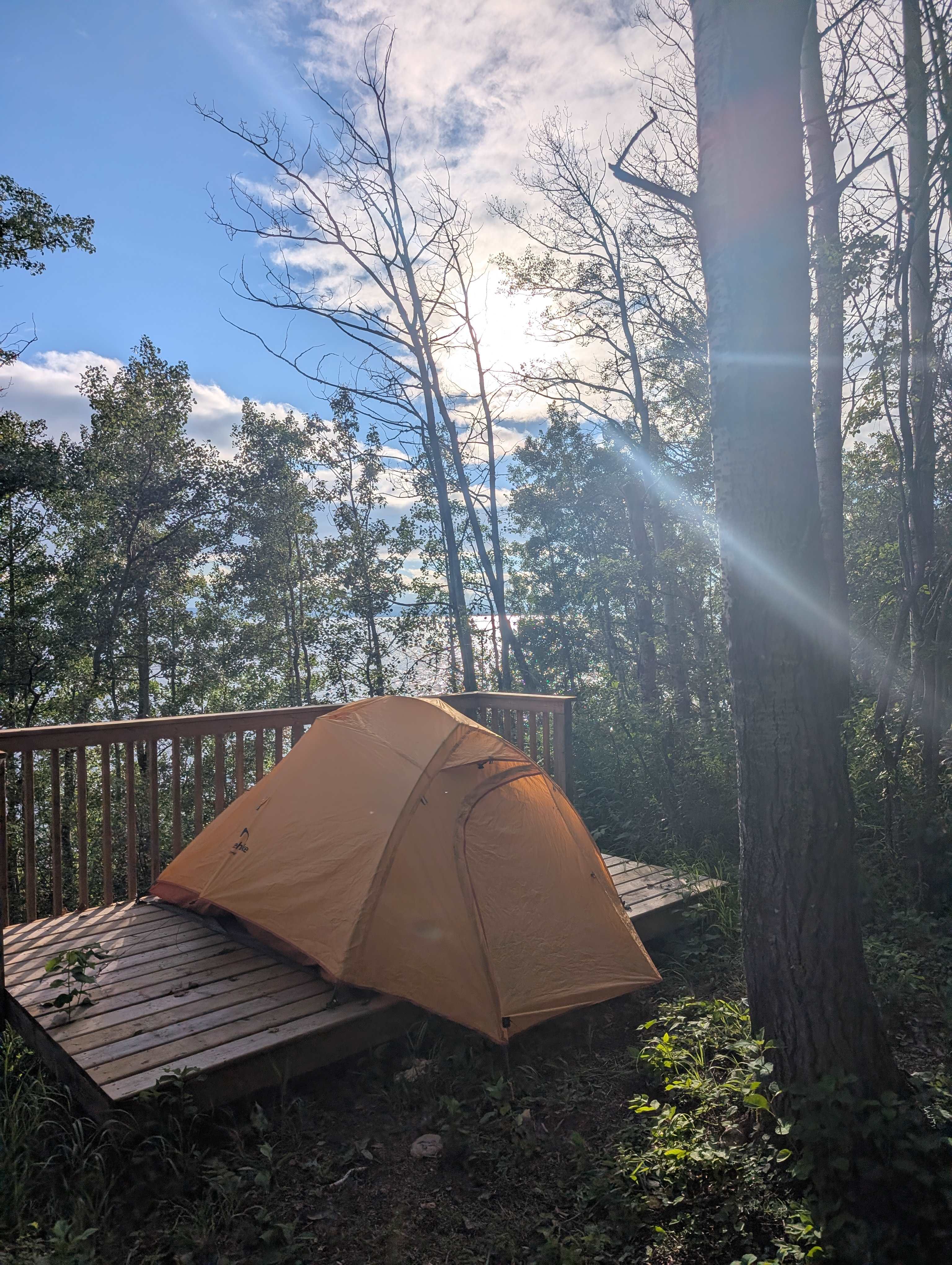 Homegrown Campground & Cabins