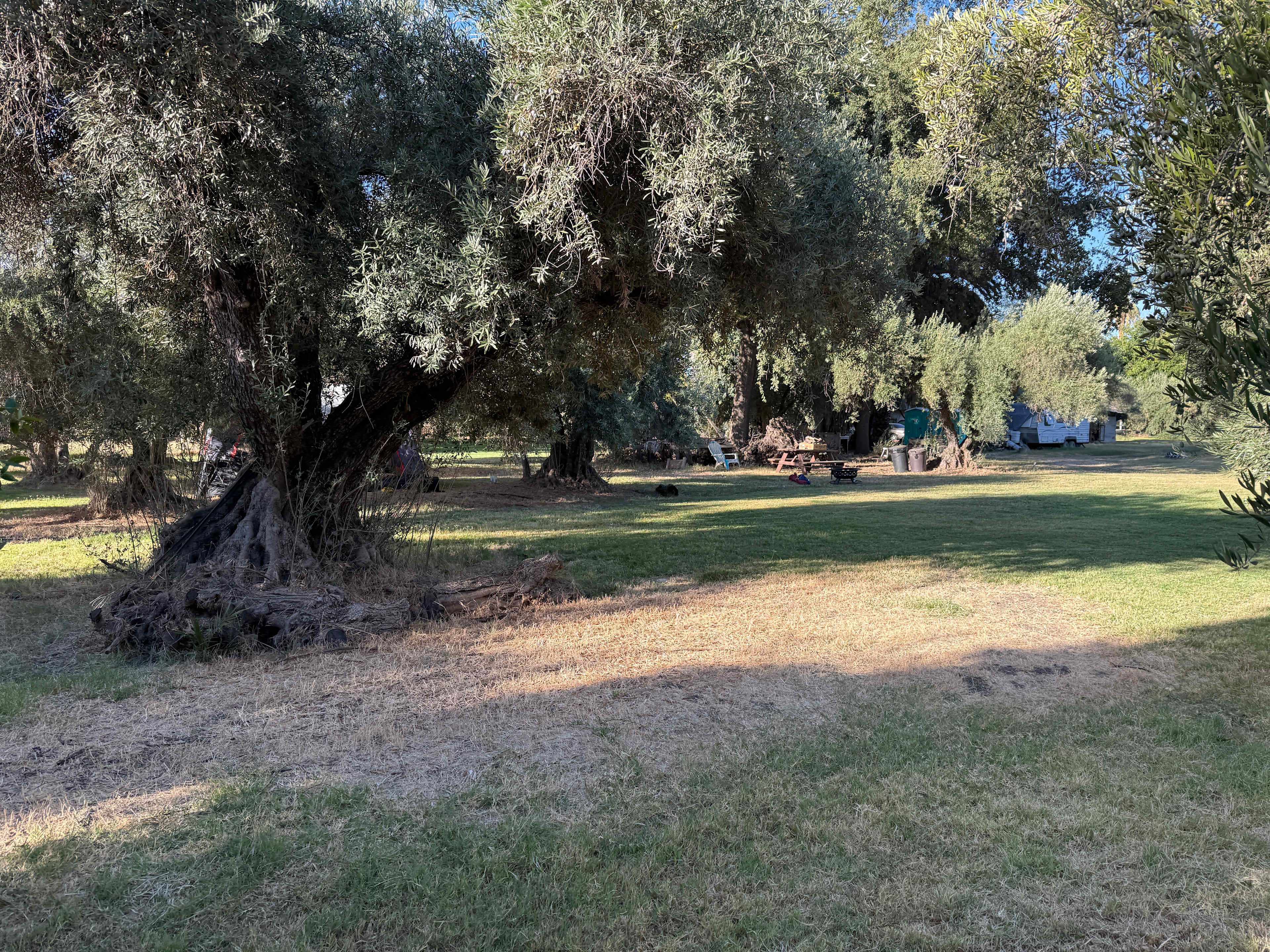 Blue Moon Orchard Retreat