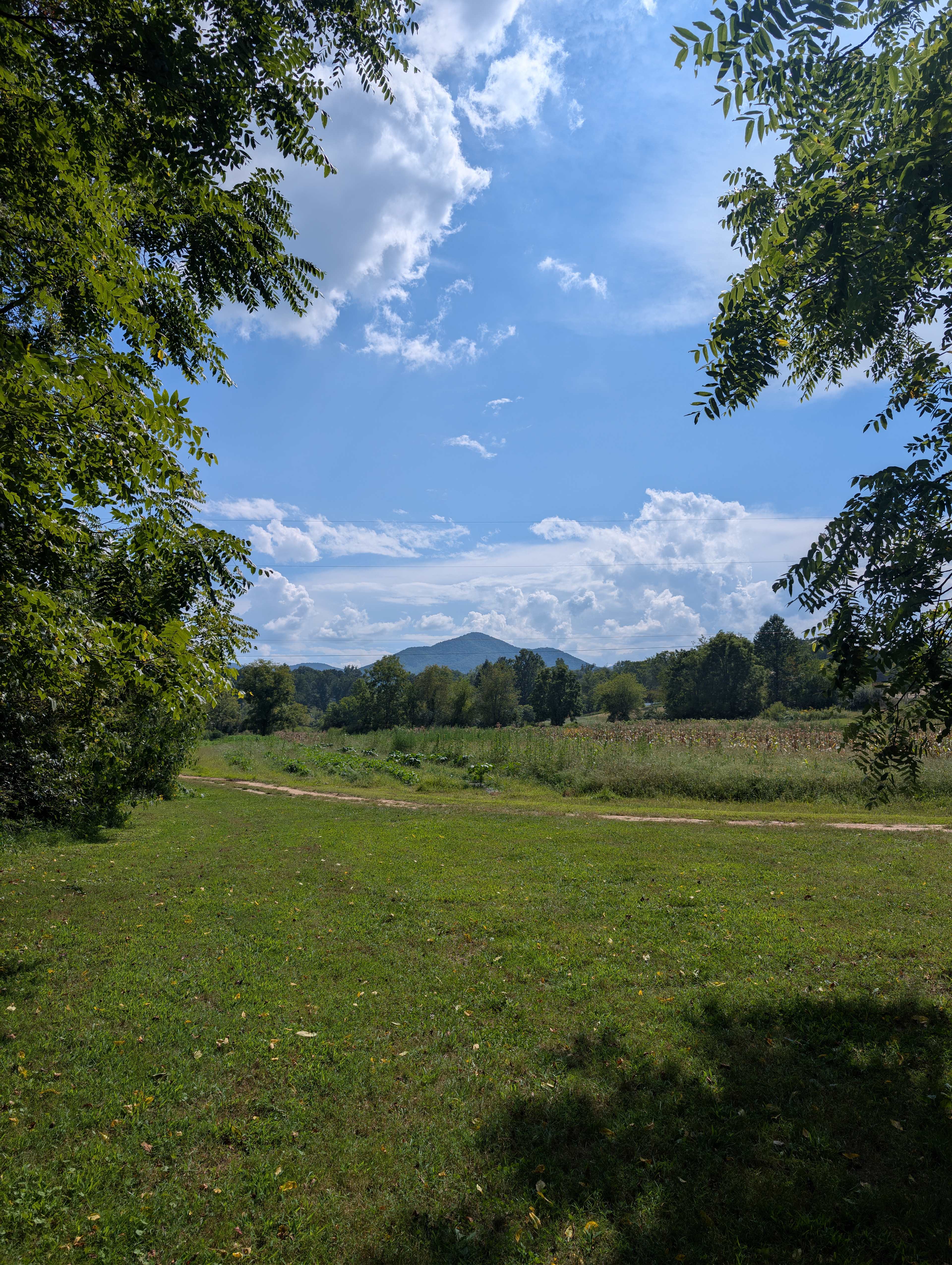 Jake's Farm