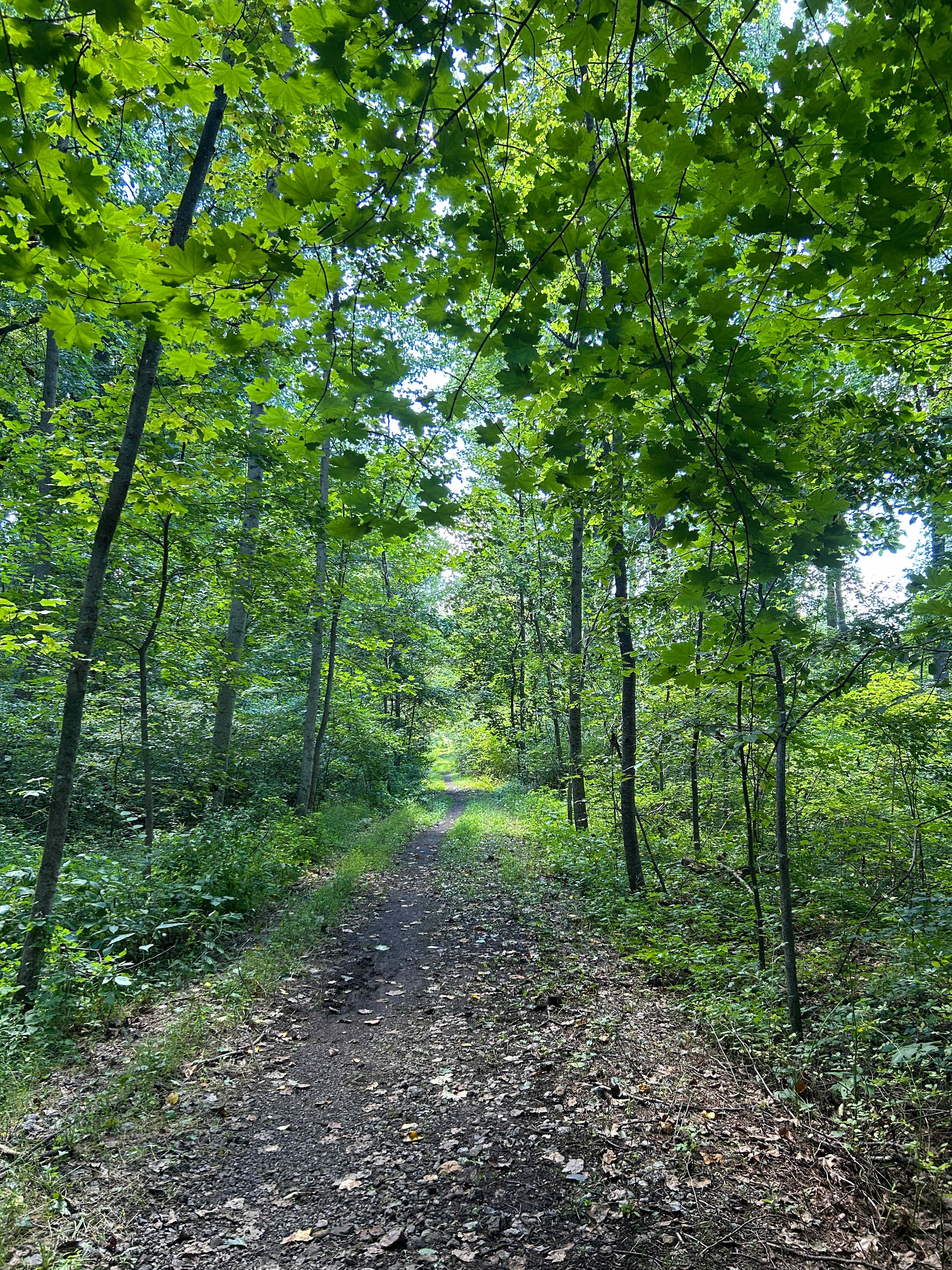 Scenic Turtle Ridge