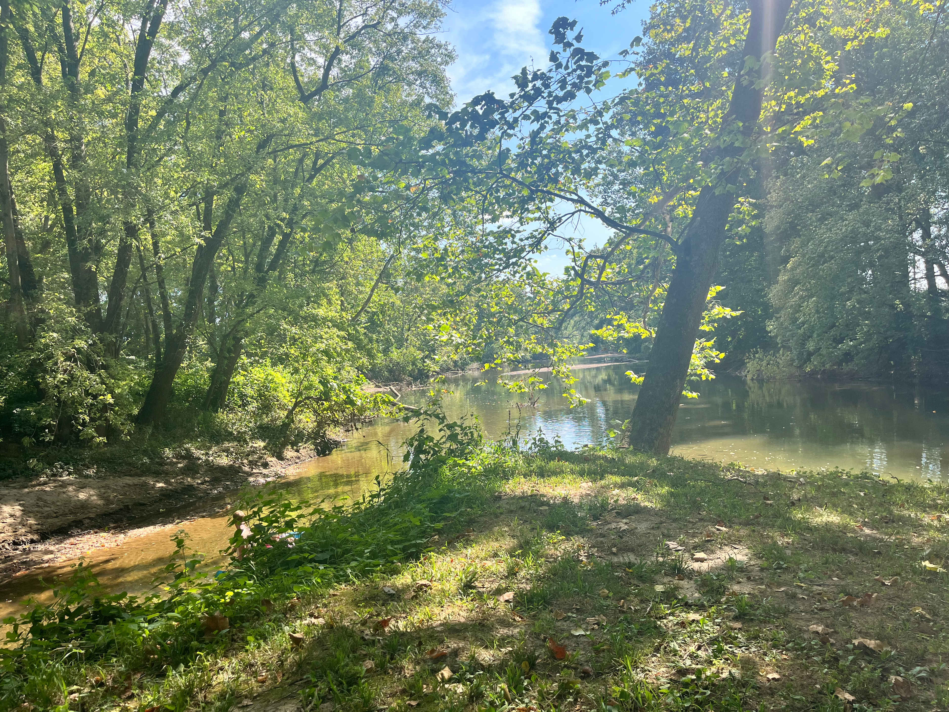 Restwood Camp